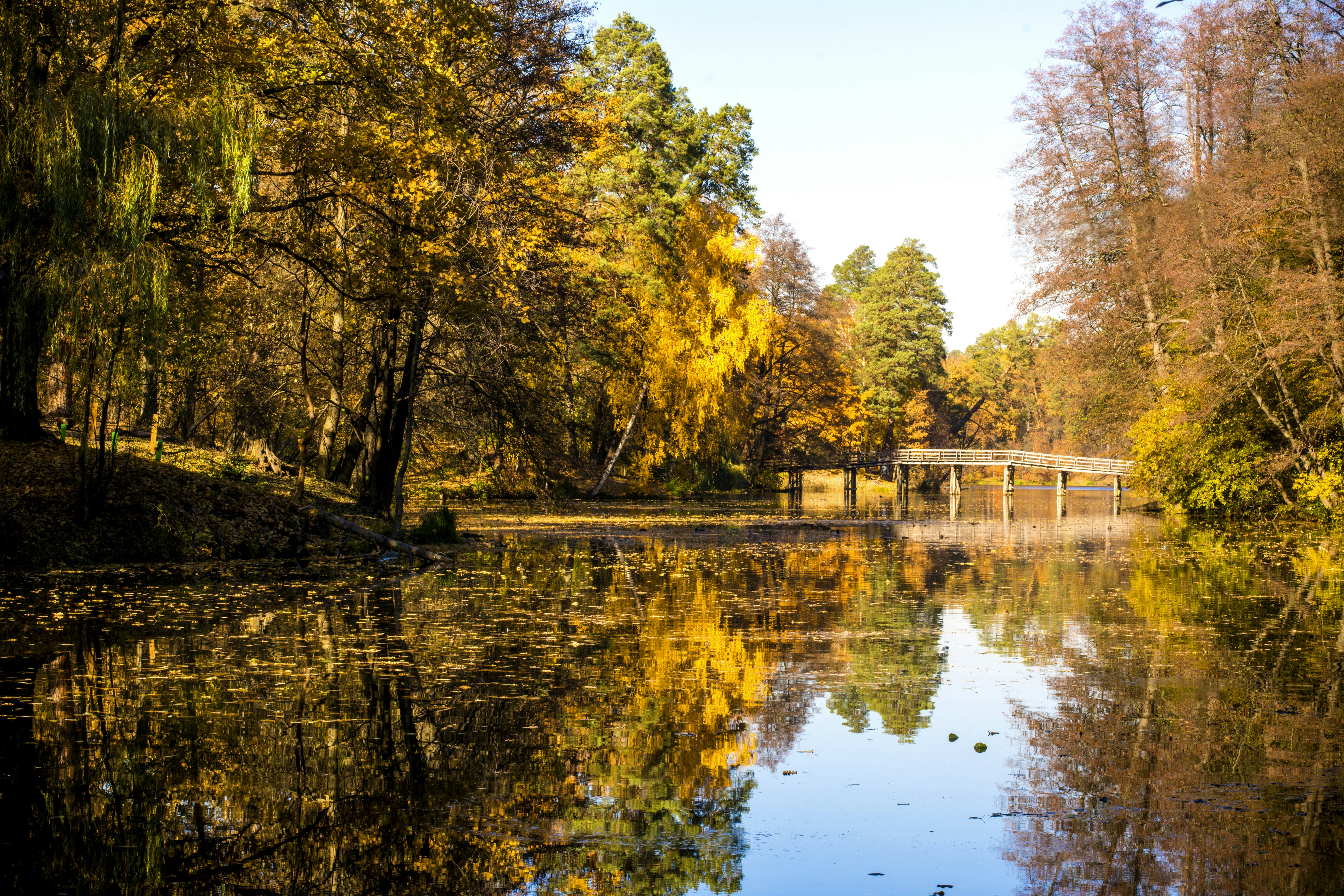 Photo by eugenivy_now