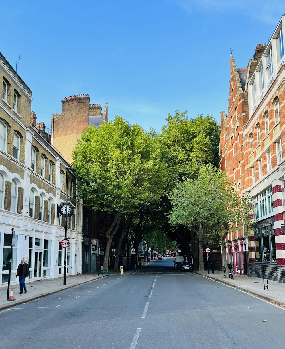 uma rua com árvores e edifícios ao lado