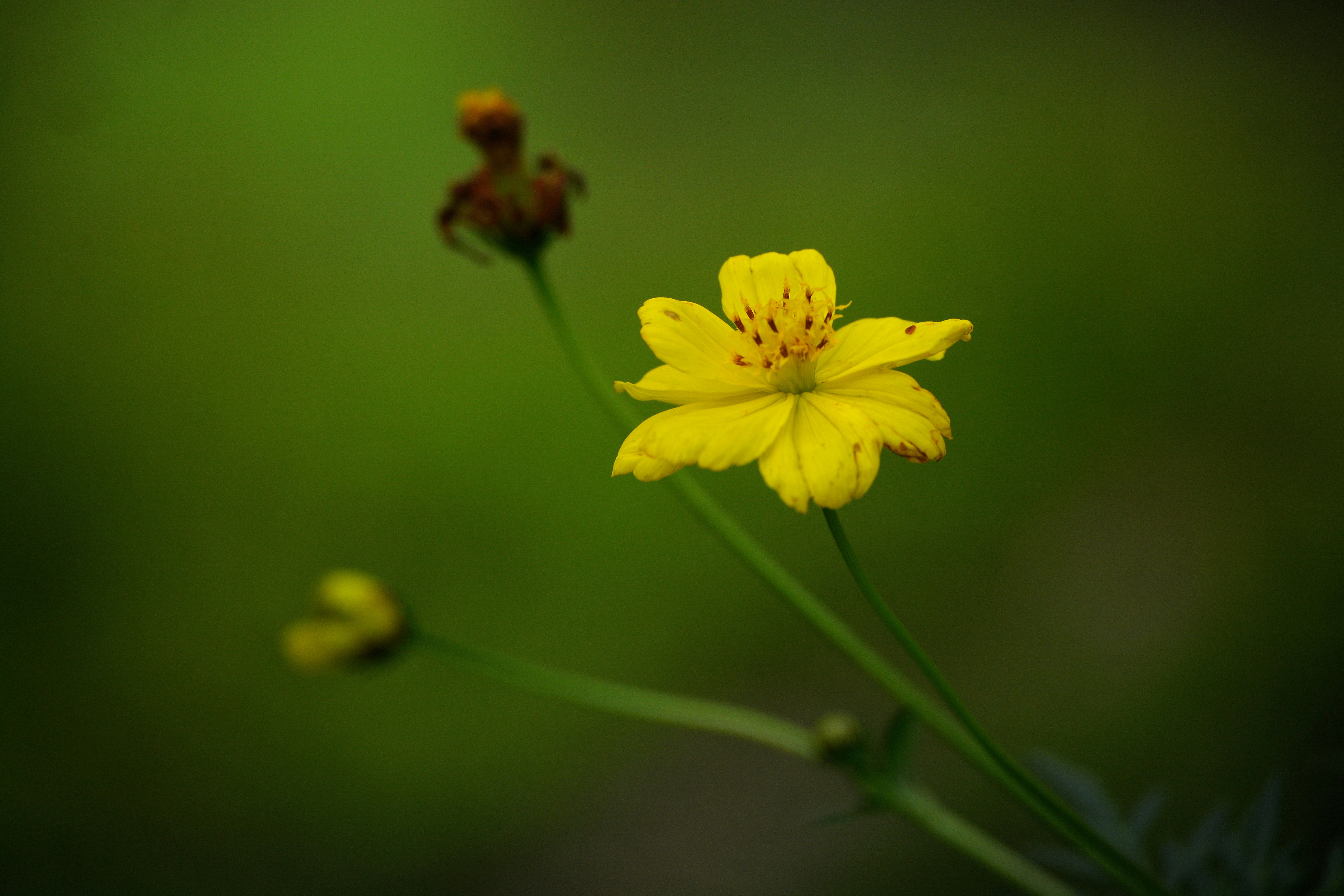 Photo by maheshkulal010