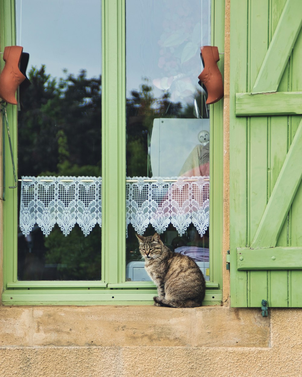 a cat sitting on a ledge