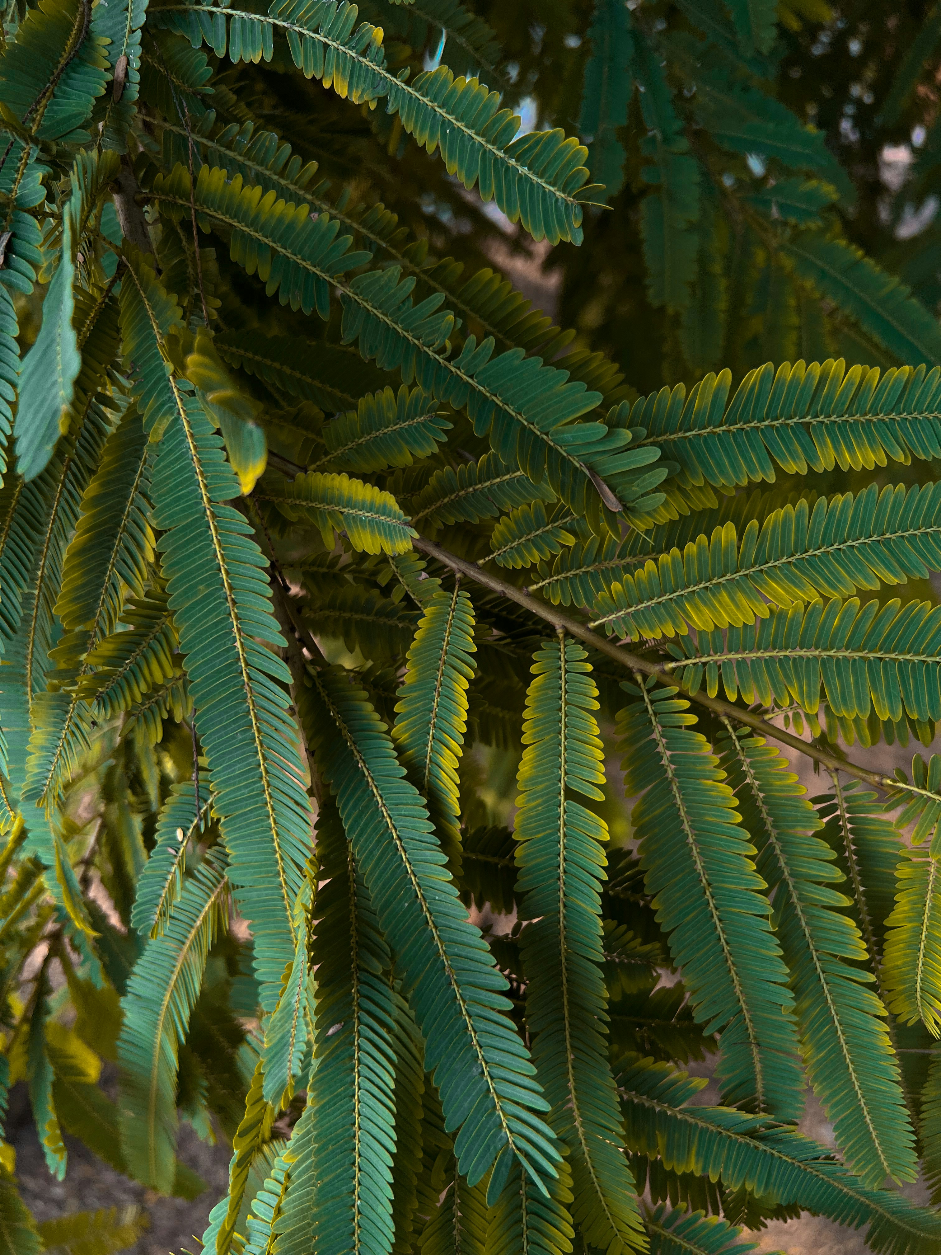 Photo by gurwantsingh