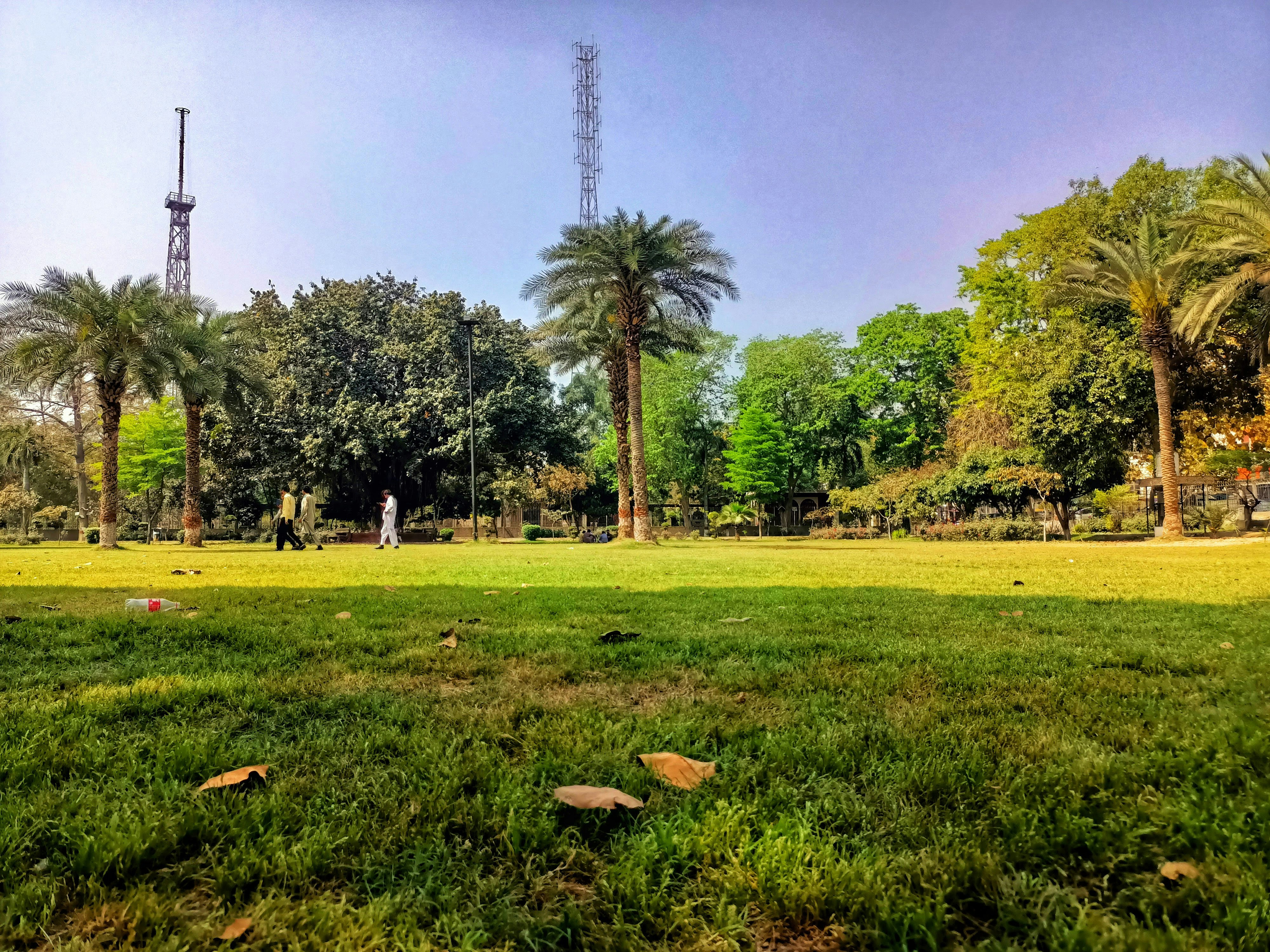 Forum Park