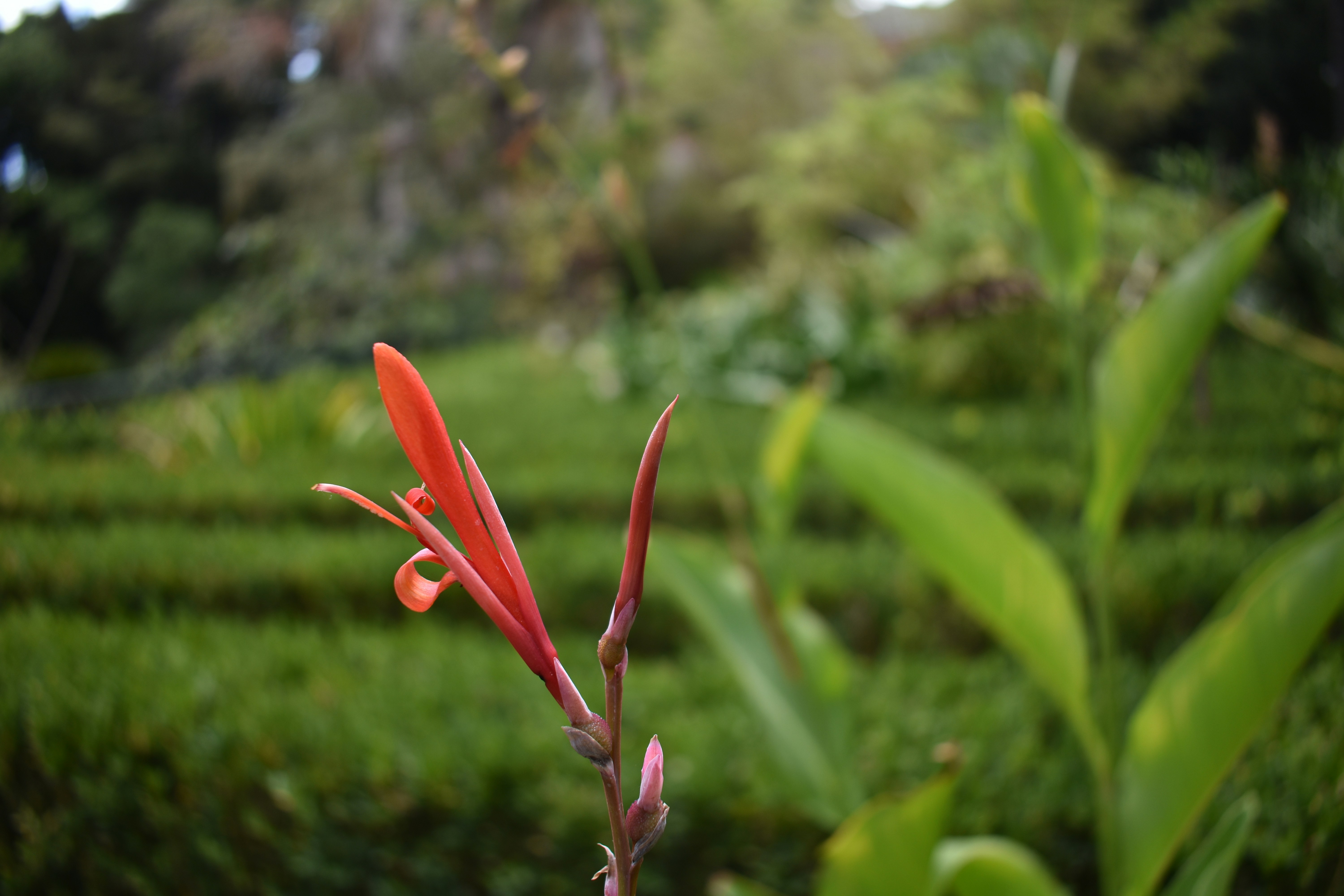 Photo by jacquelinevann