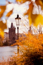 a lamp post and a building