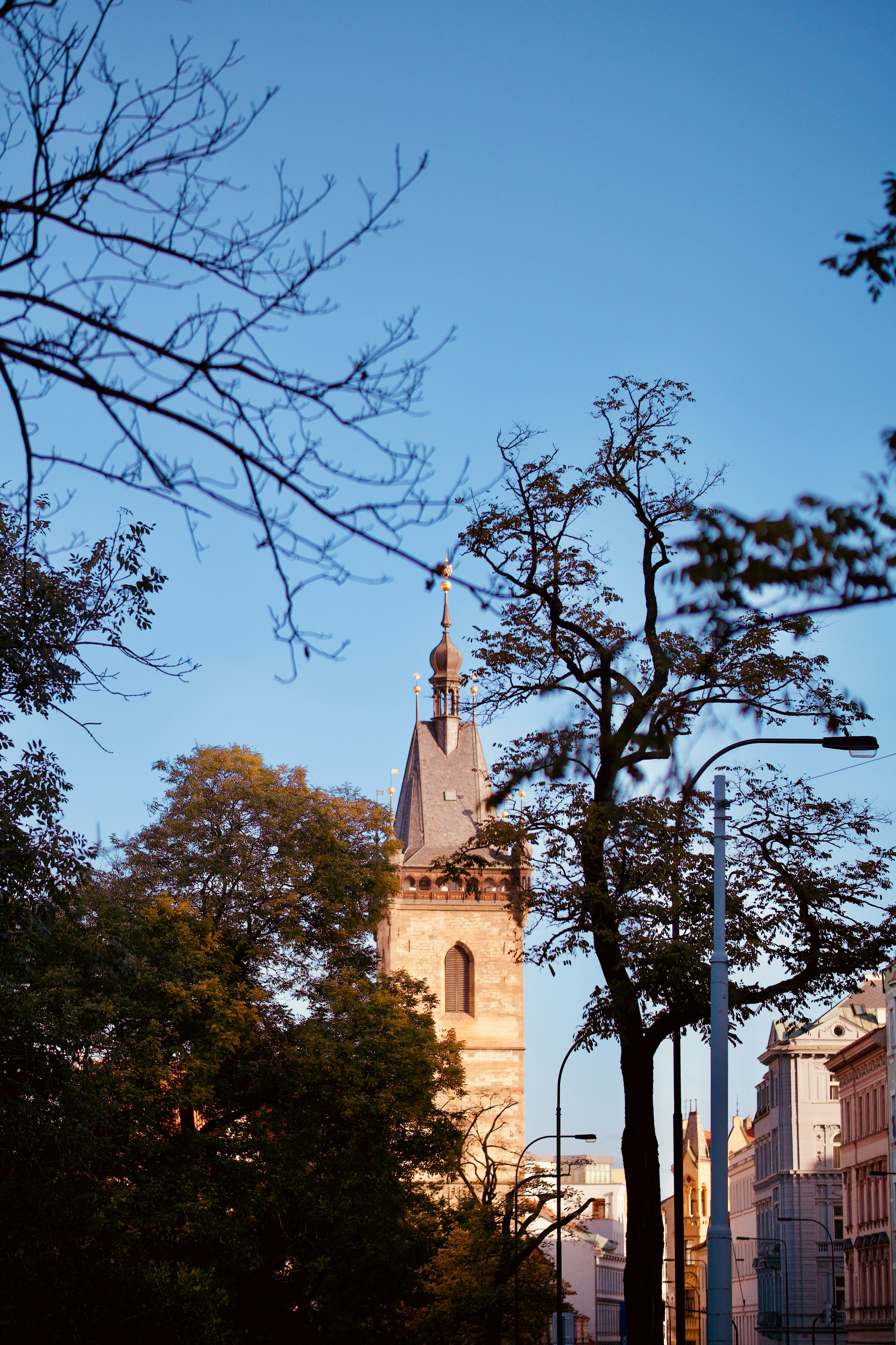 Photo by romanbodnarchuk