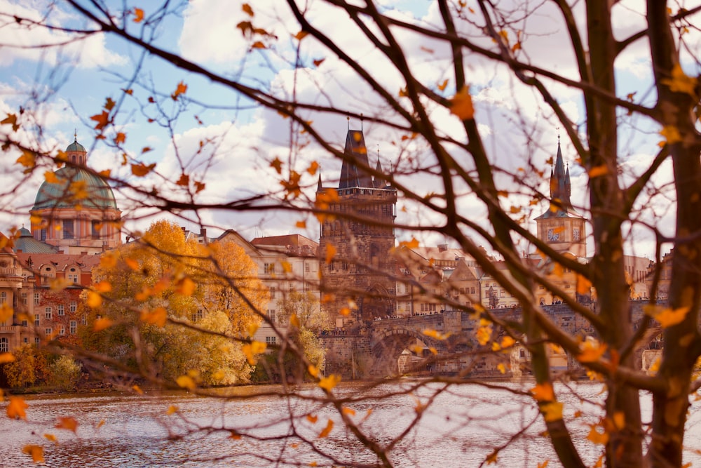 a building with a tower and trees in front of it