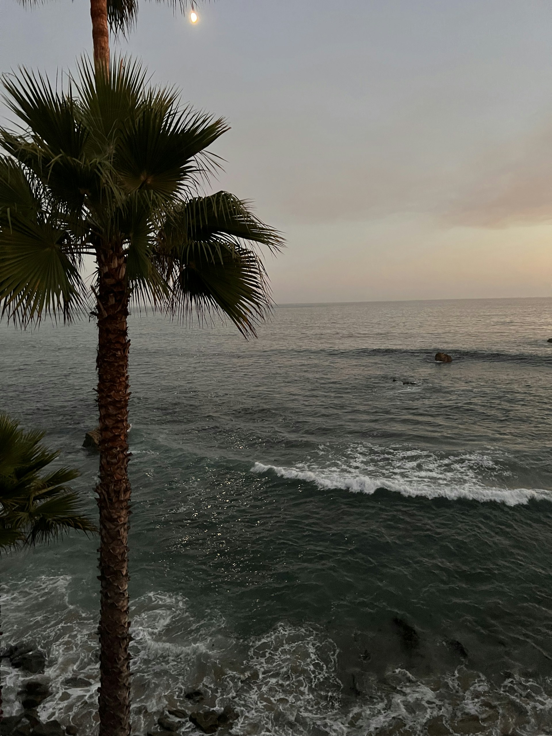 gray computer monitor