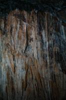 Minimalist 3D cut showing stratified soil textures with brushed copper highlights.