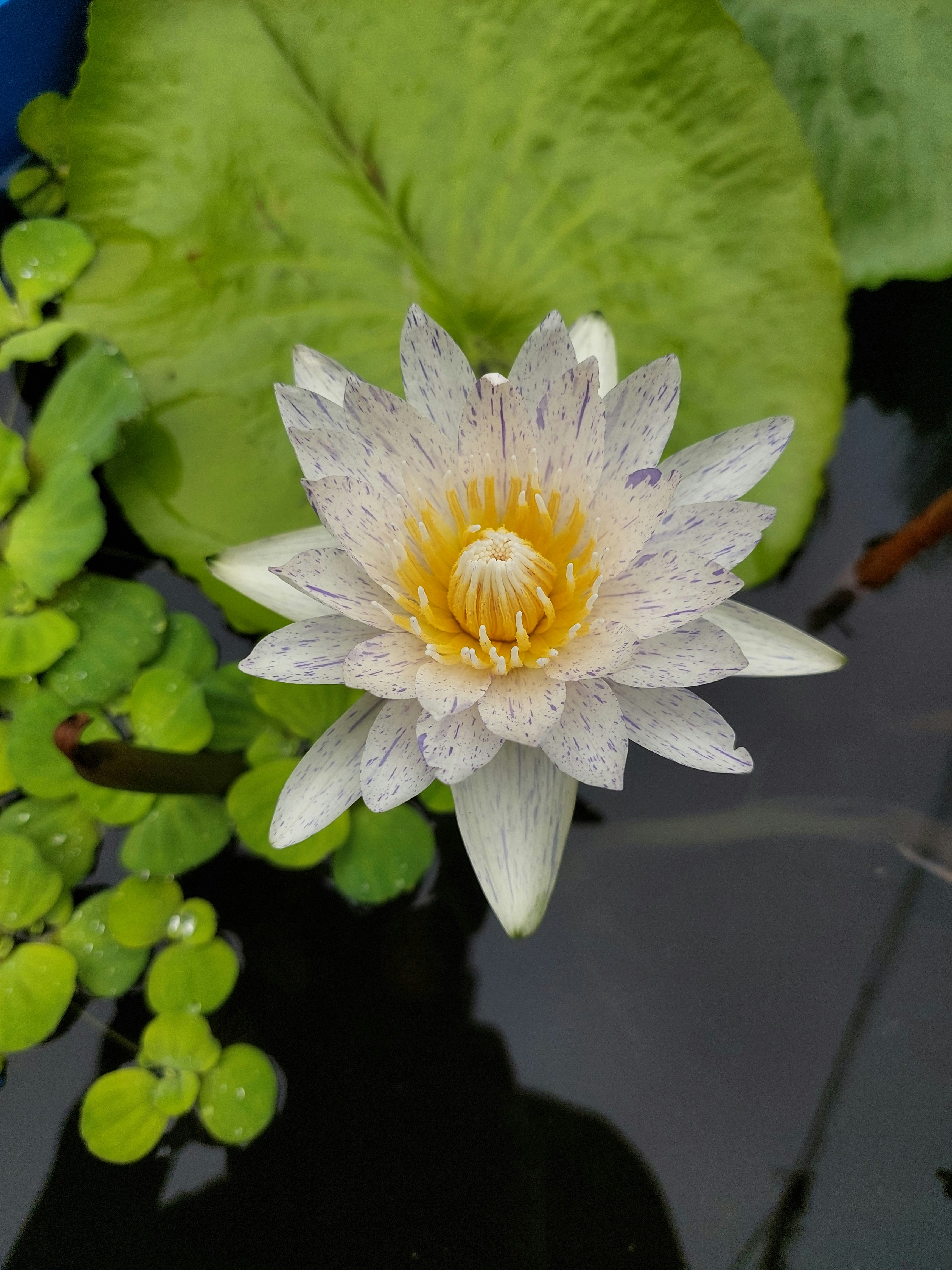 Photo by gray2heart12