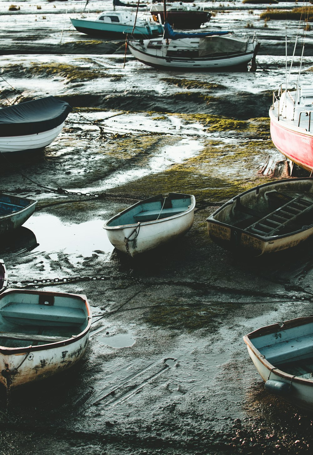 boats in the water