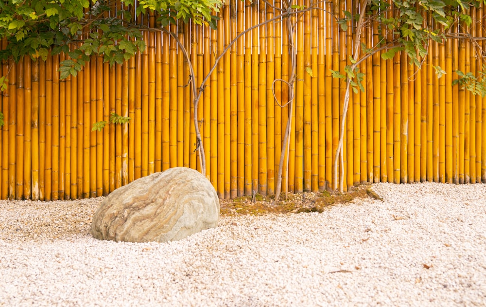 a rock in front of a fence