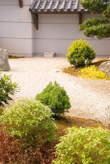 A serene view of a Japanese garden where students are learning phrases in Japanese.