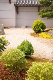 A serene Japanese zen garden with carefully raked gravel, moss, and minimalist stone arrangements under soft natural light.