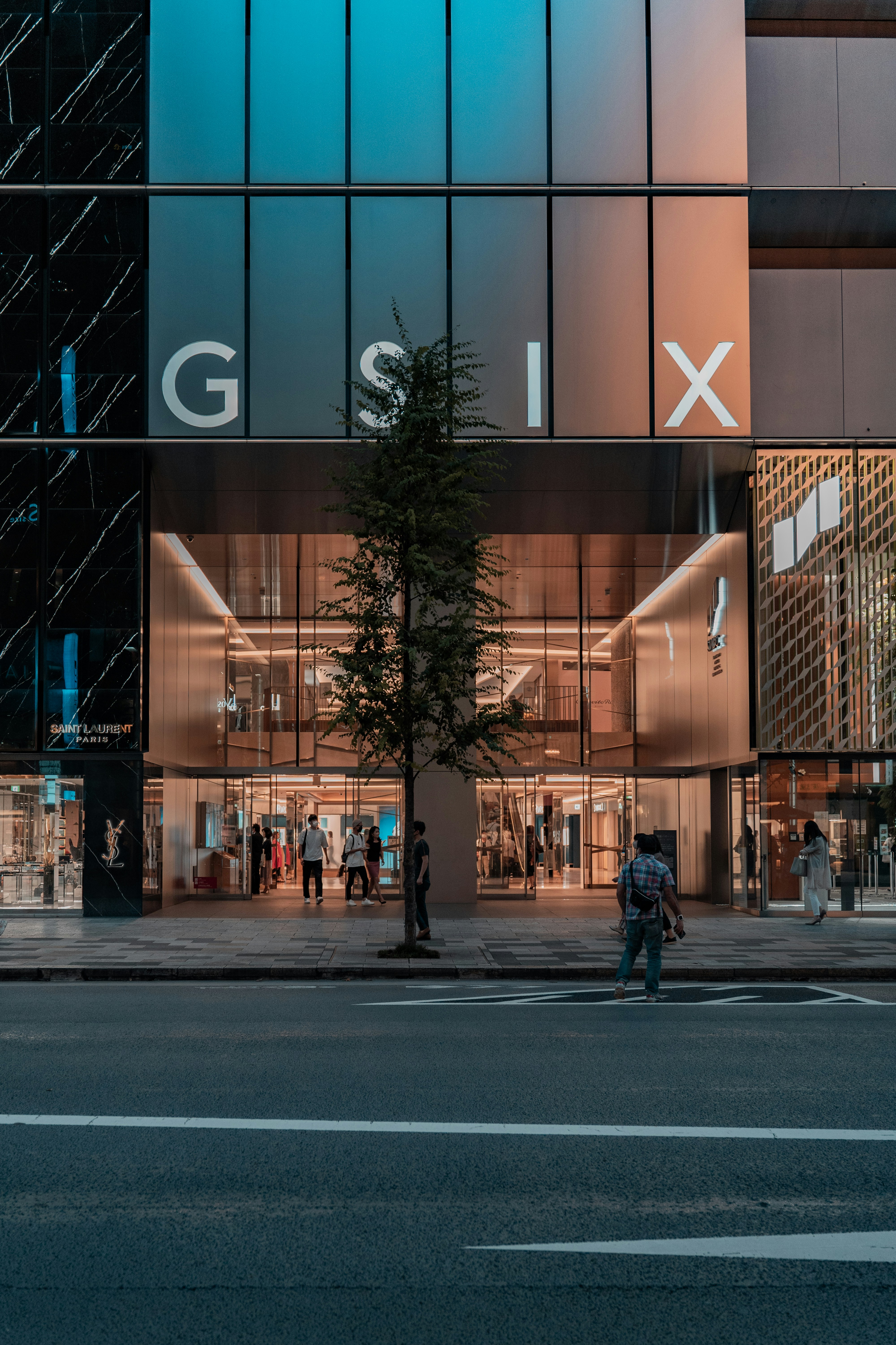 a tree in front of a building