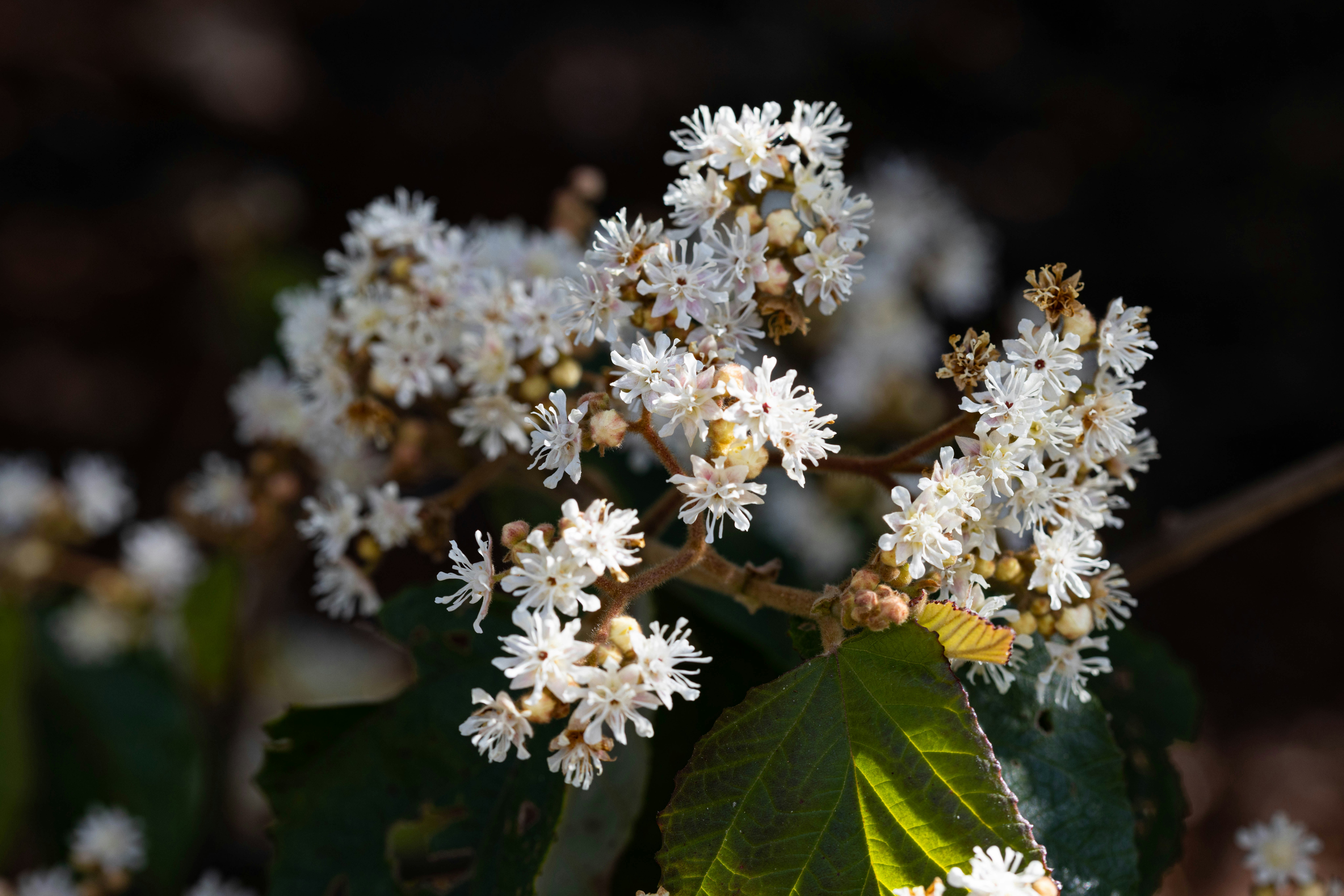 Photo by richie_slai