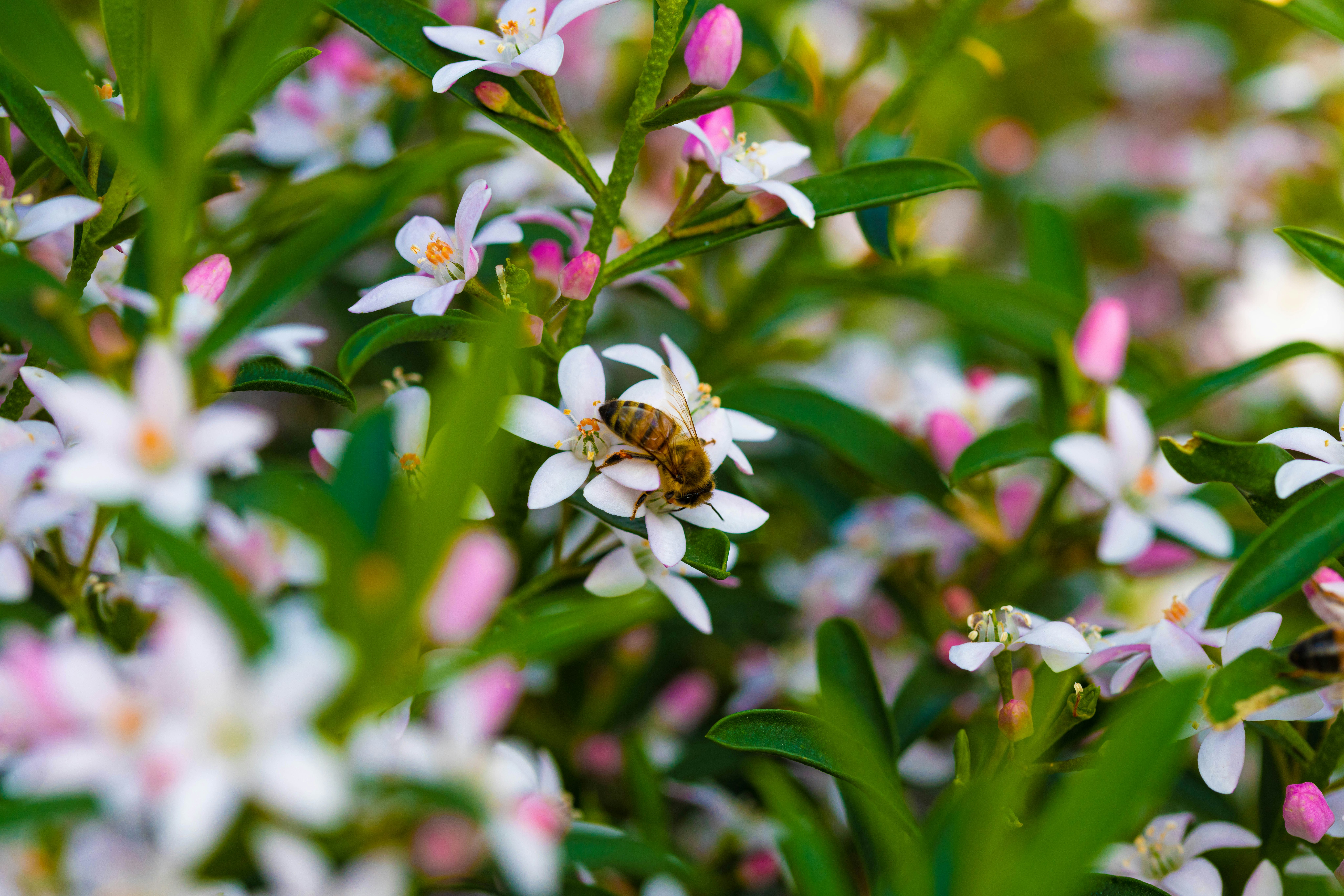 Photo by richie_slai