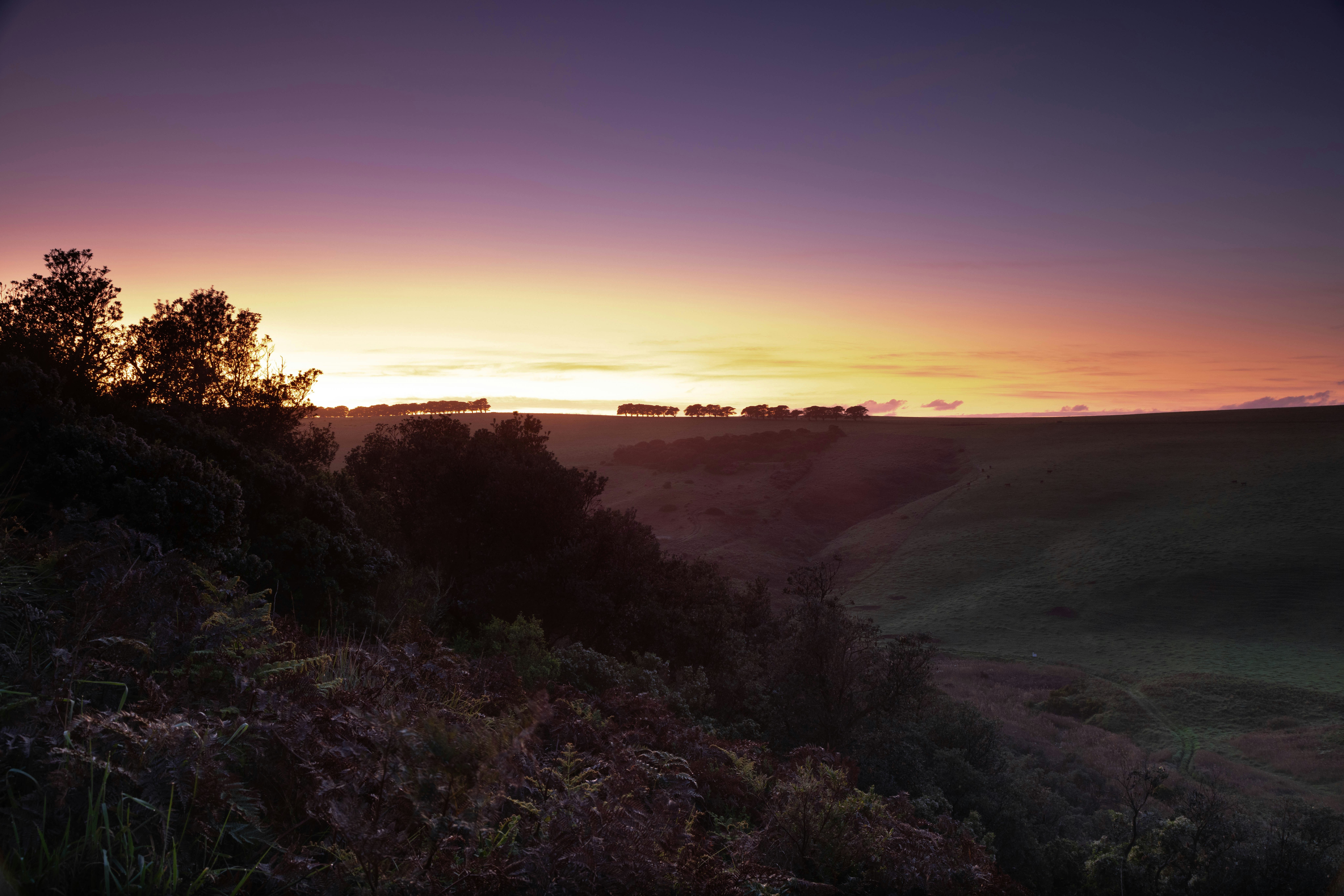 Photo by richie_slai