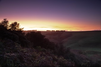 A serene landscape depicting a vibrant sunset over a rolling hillside. Dark silhouettes of trees are seen on the horizon, with varying shades of green vegetation in the foreground. The sky is a gradient of colors, transitioning from deep blue to purple, pink, and finally a bright yellow near the horizon.