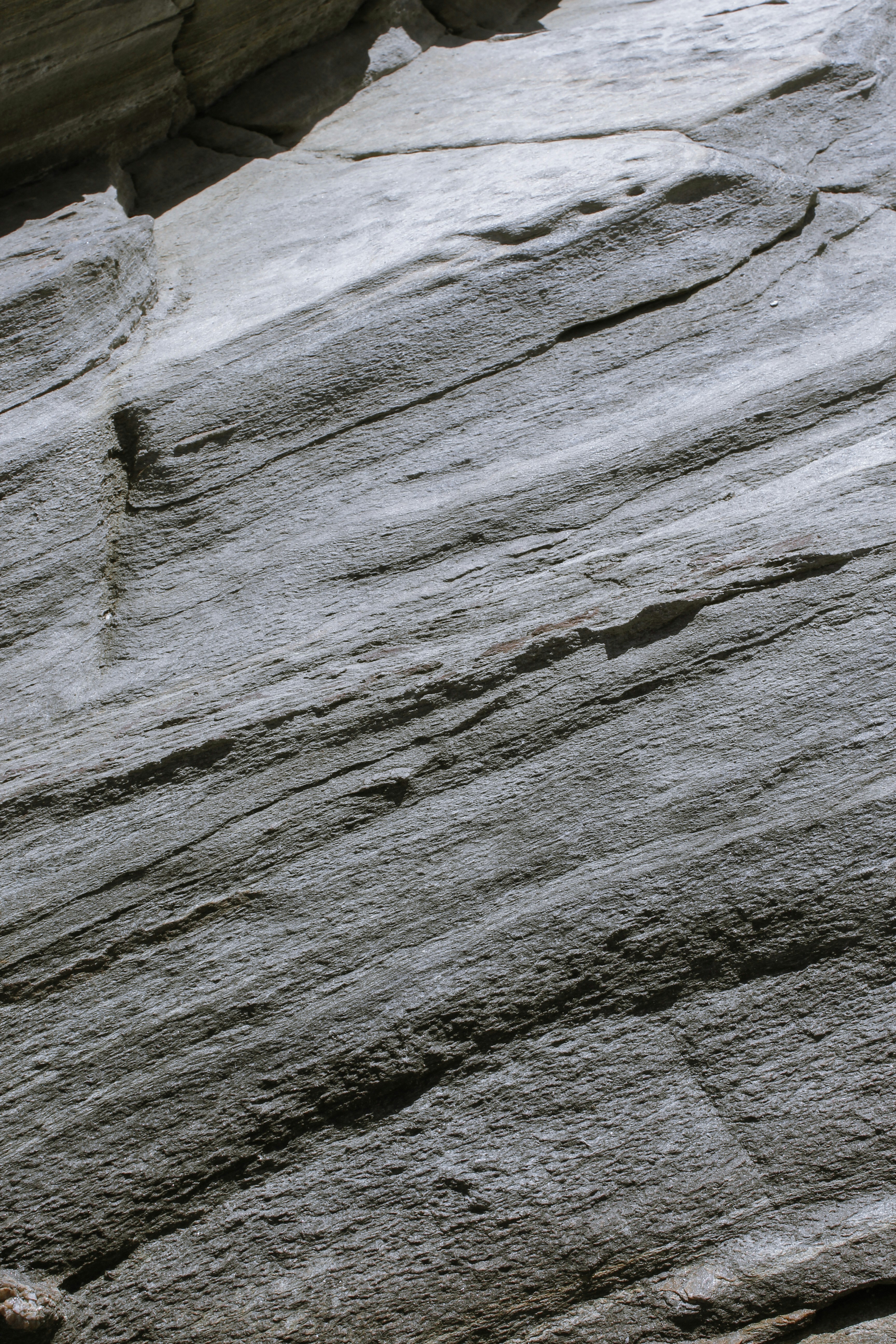 Photo by evgeniasterg