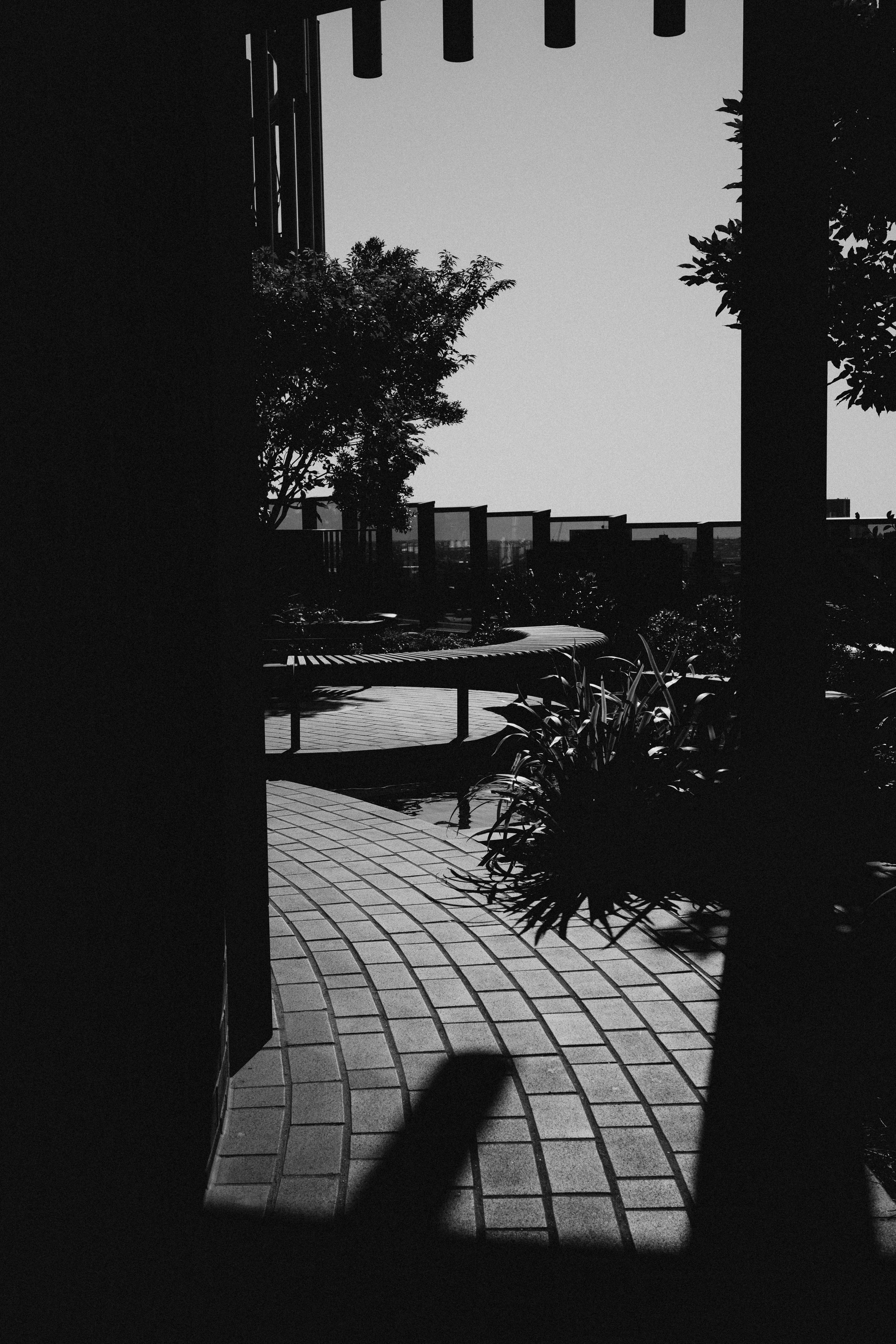 Photo by josephbobadilla