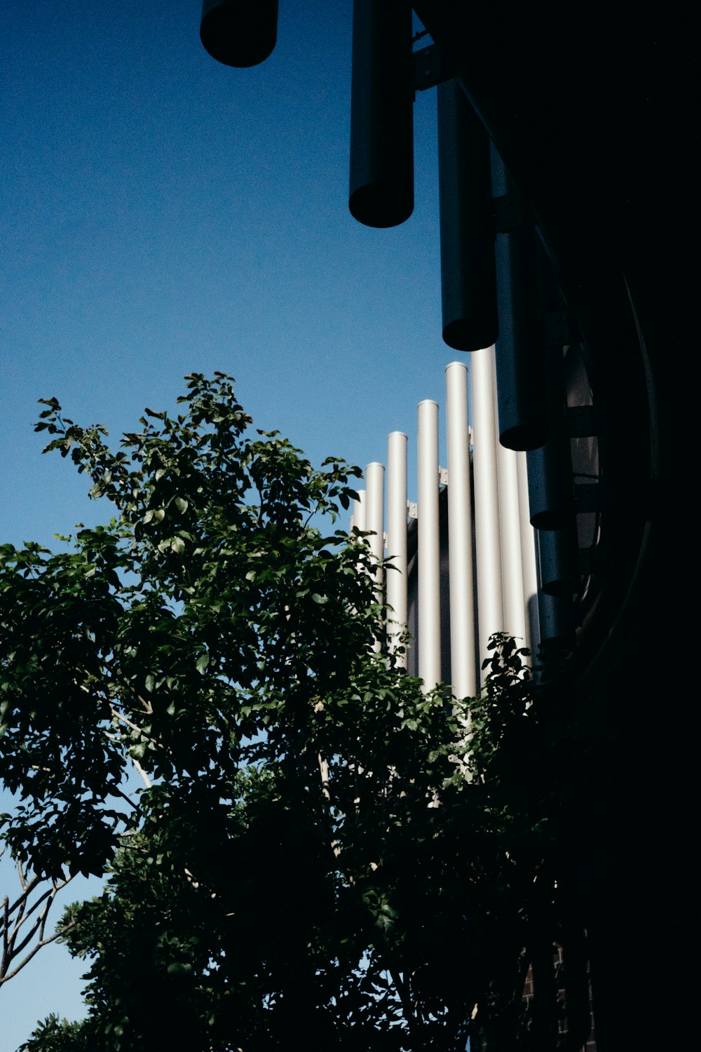 a tall building with a tree in front of it