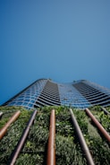 a building with a glass roof