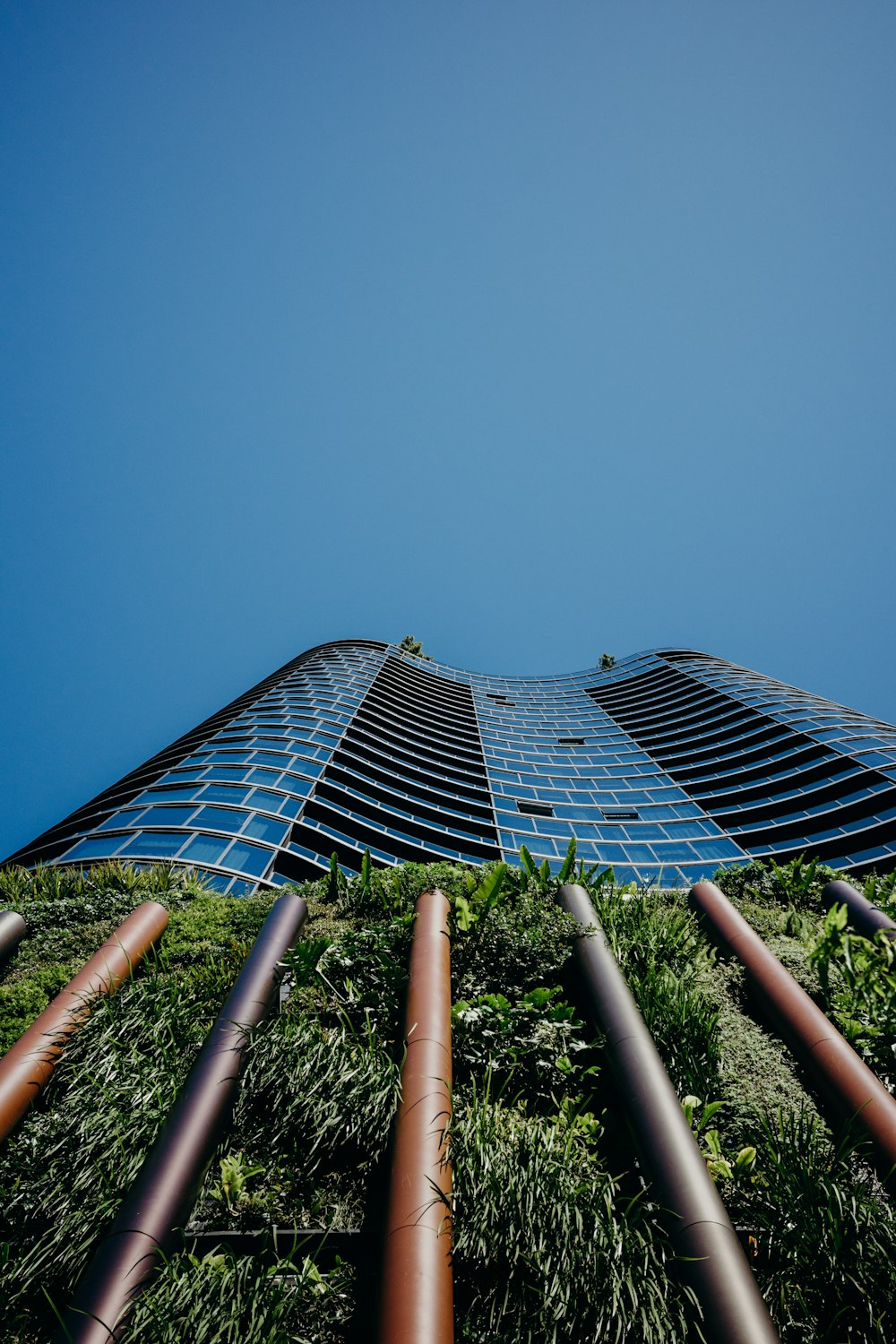 a building with a glass roof