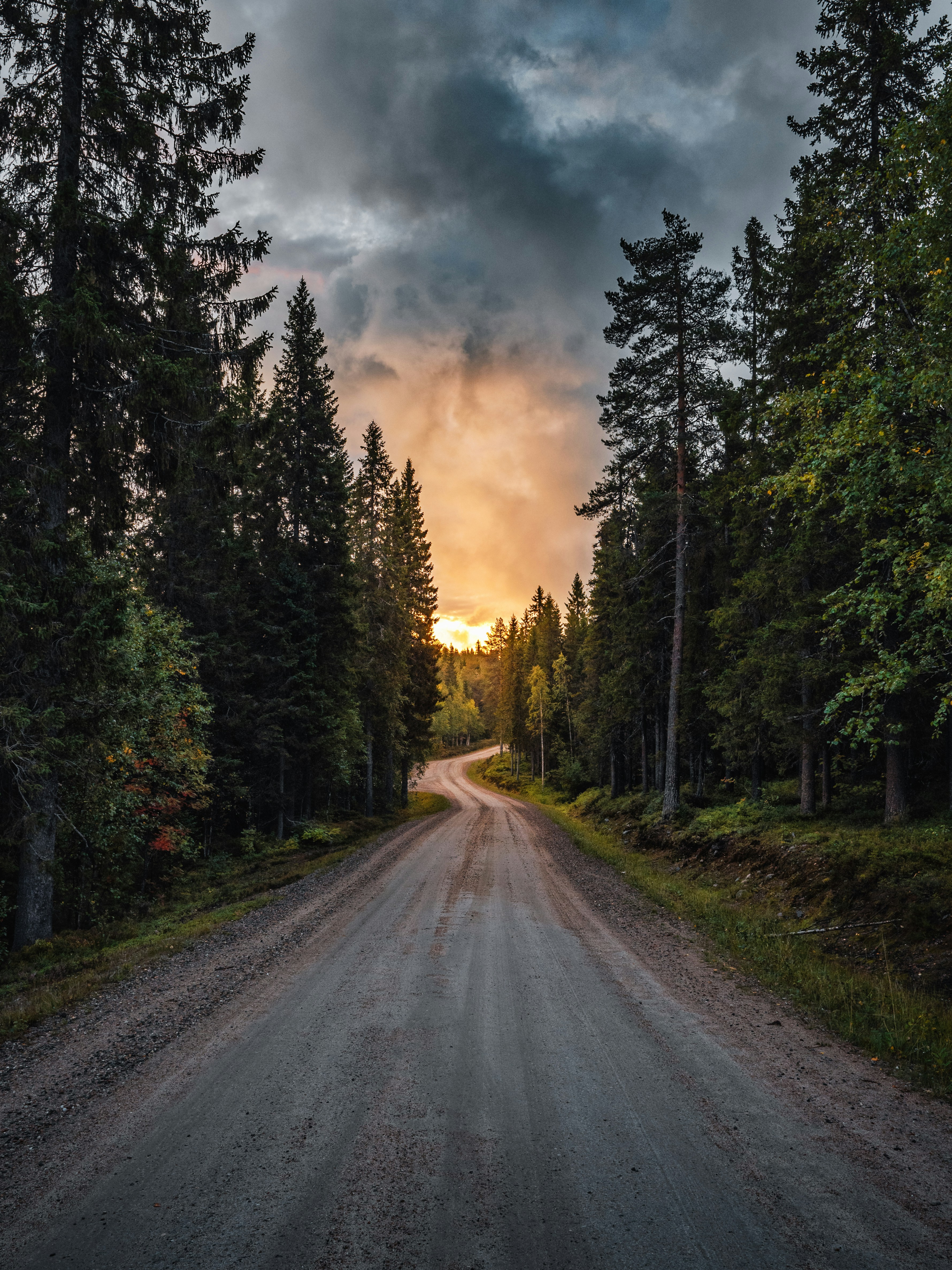 a road with trees on the side