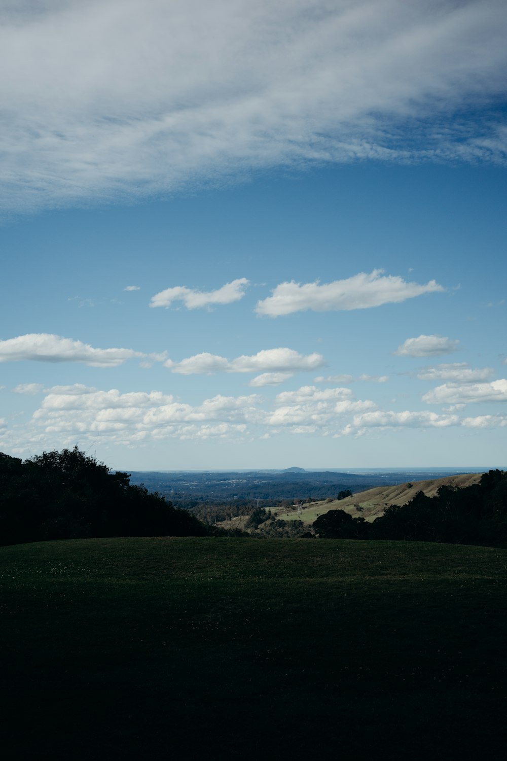 a grassy field with mountains in the background