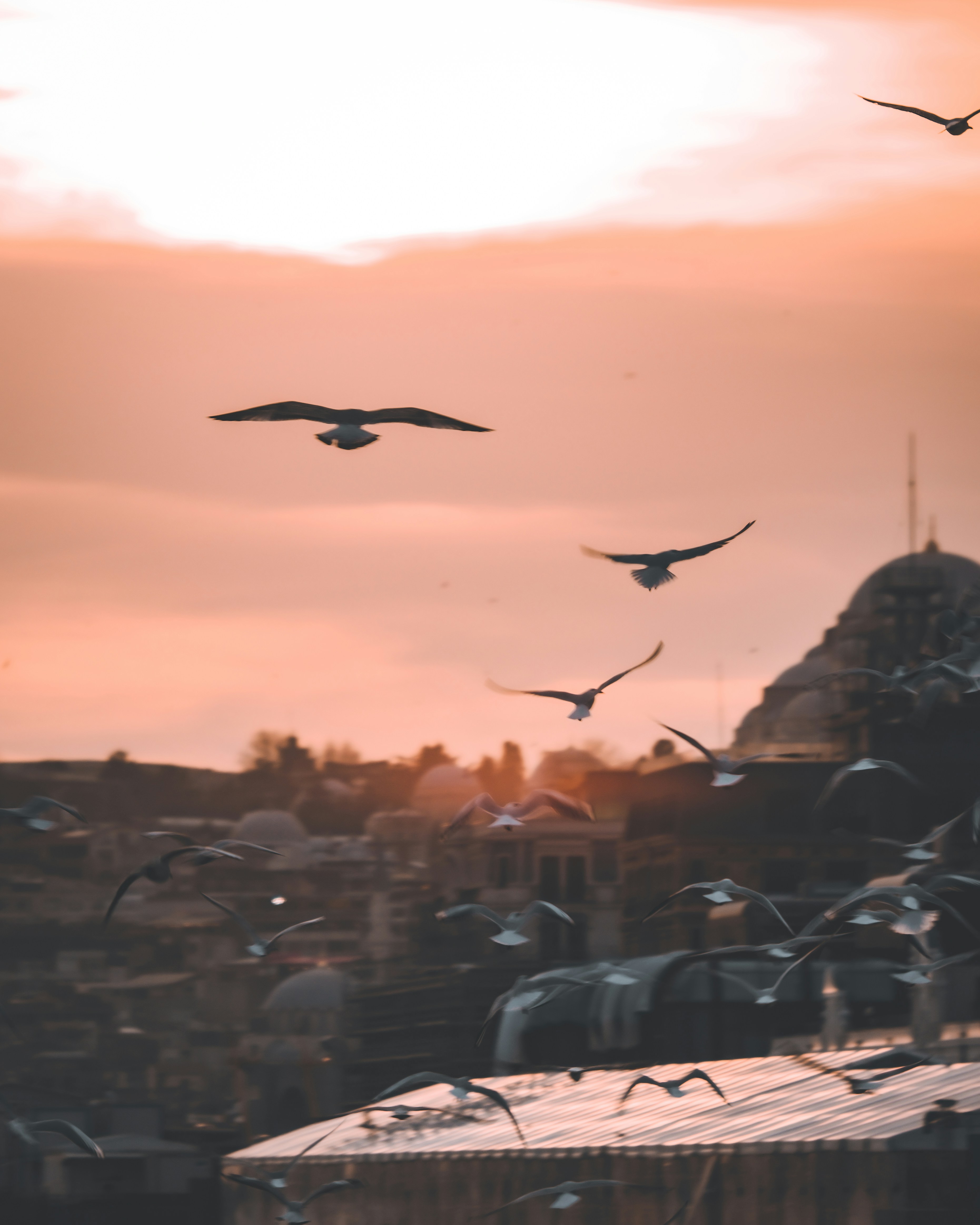 Photo by aykutaaktas