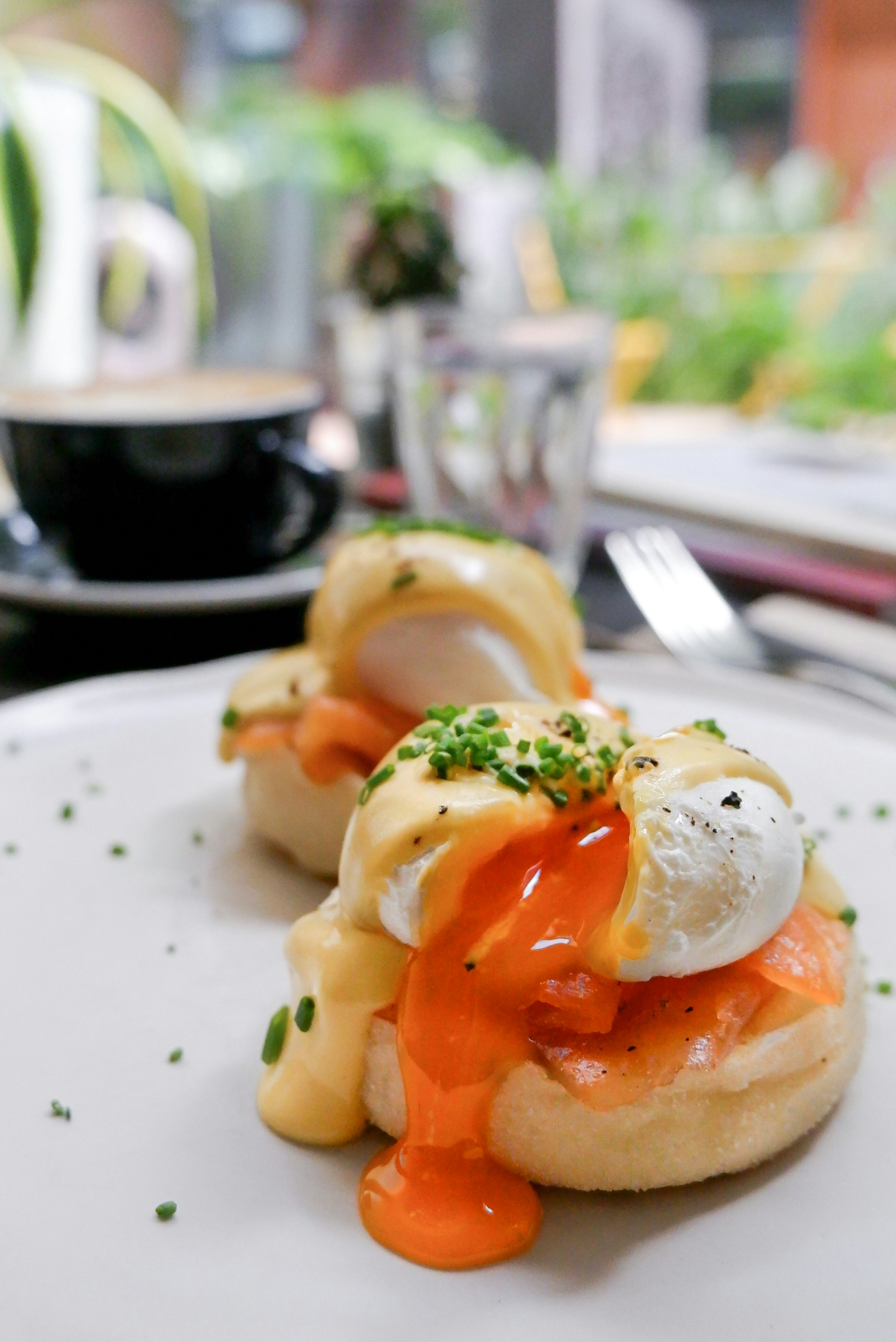 Cómo Hacer Huevos Benedictinos de Manera Sencilla