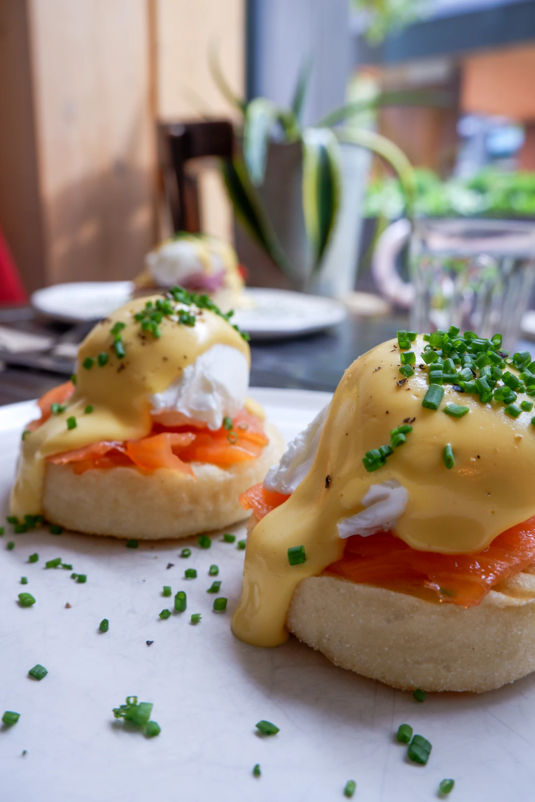 Trứng Benedict