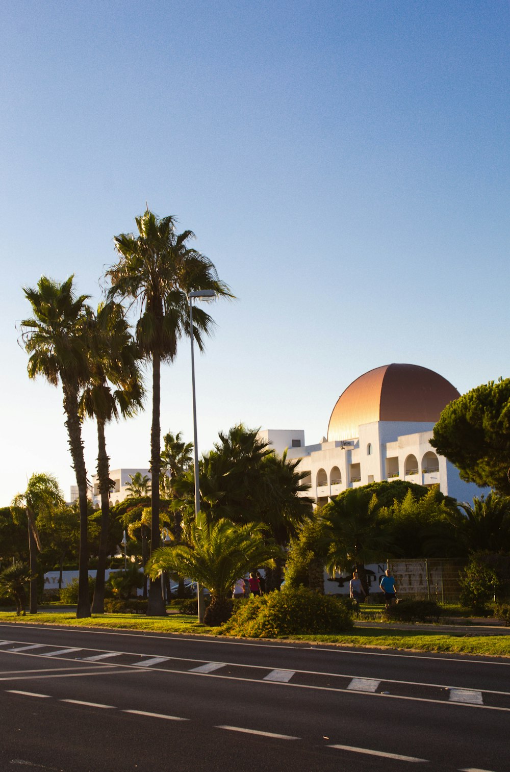 a building with palm trees in front of it