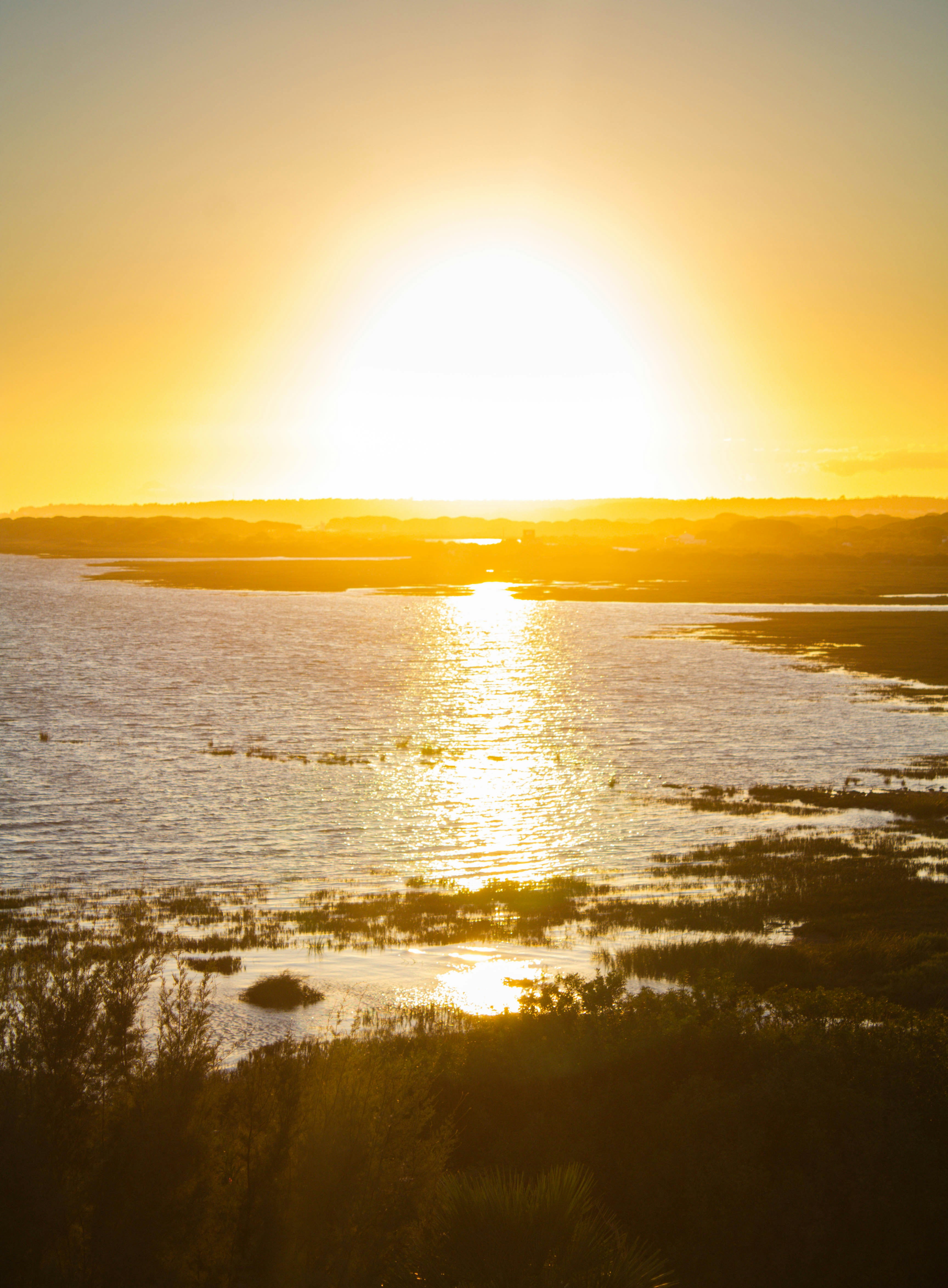 Photo by anamariacalugar