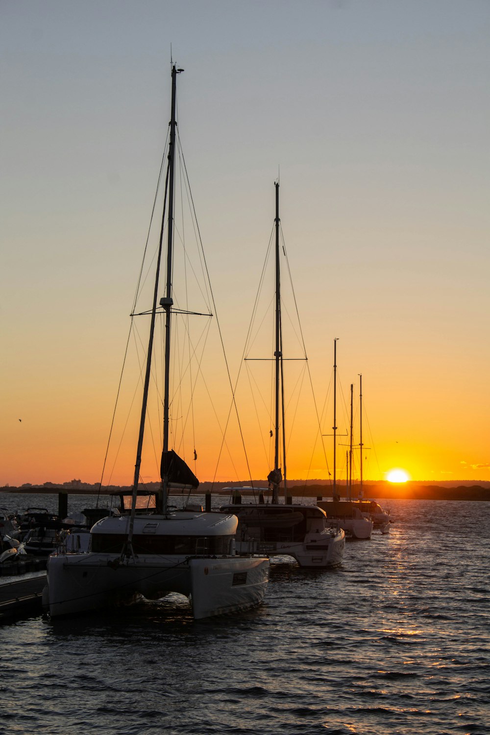 a group of sailboats in the water at sunset