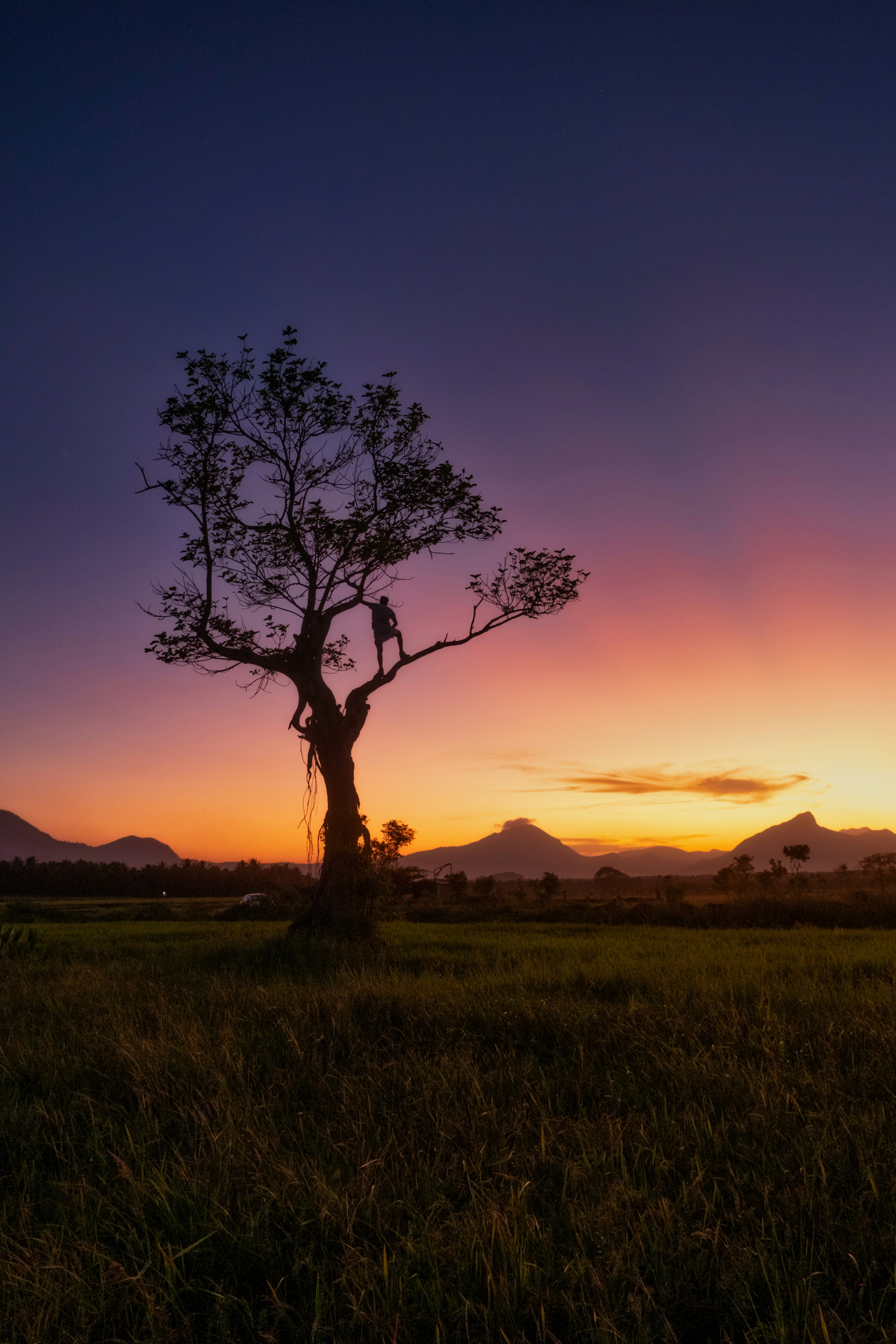 Photo by hiresayan