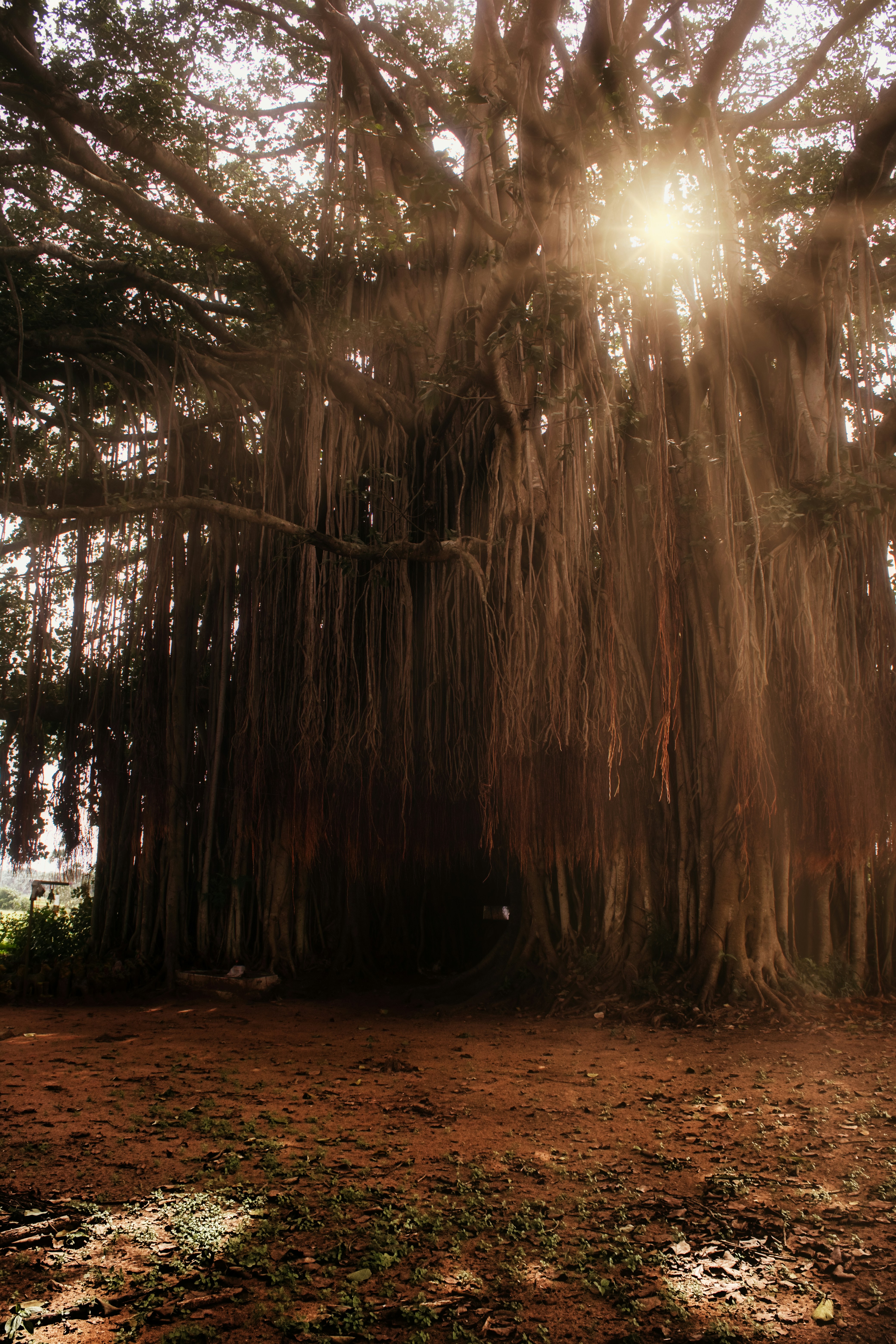 Photo by hiresayan