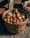 a basket of apples