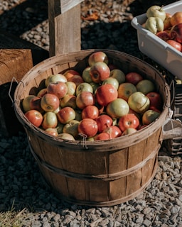 a basket of apples