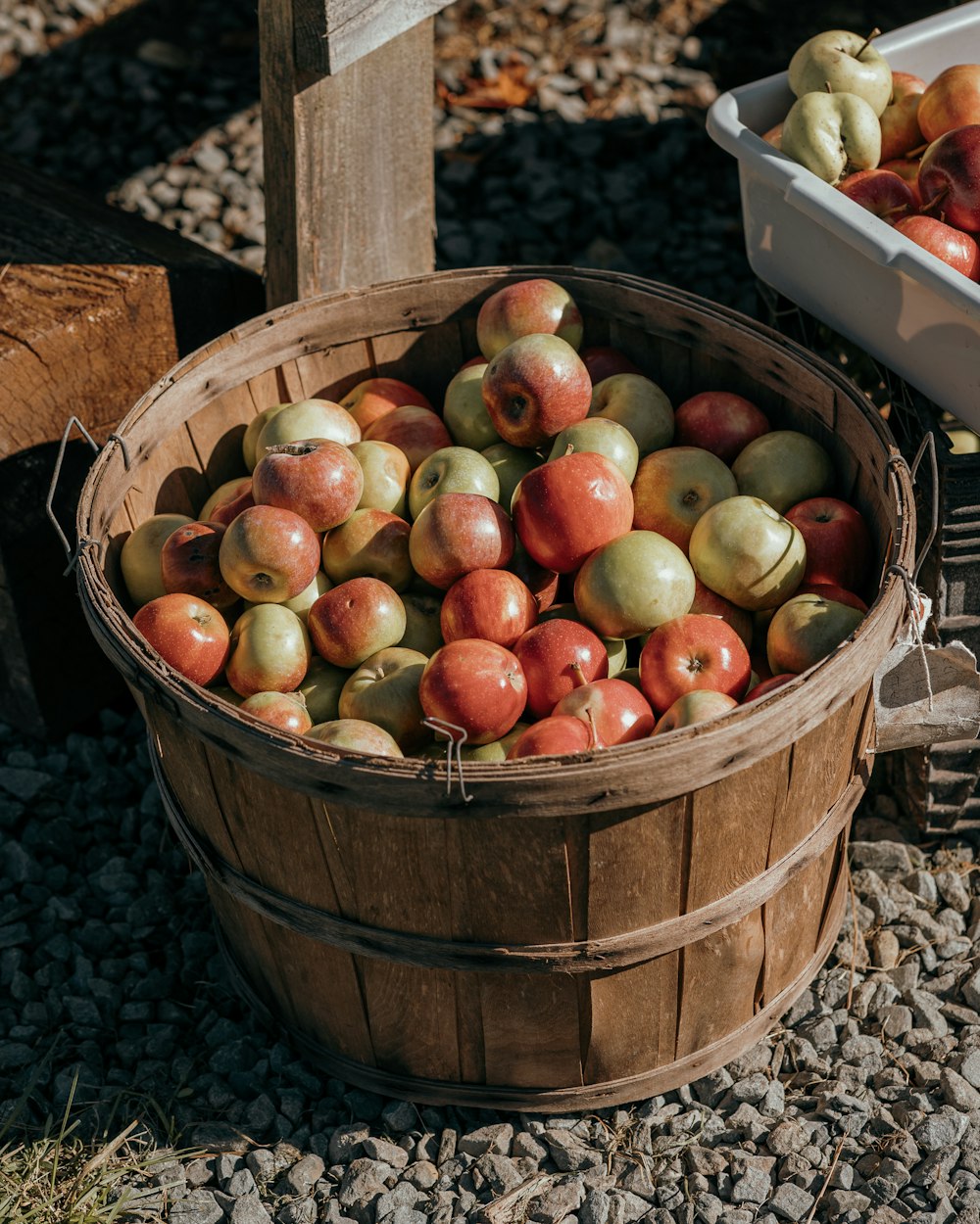 Una canasta de manzanas