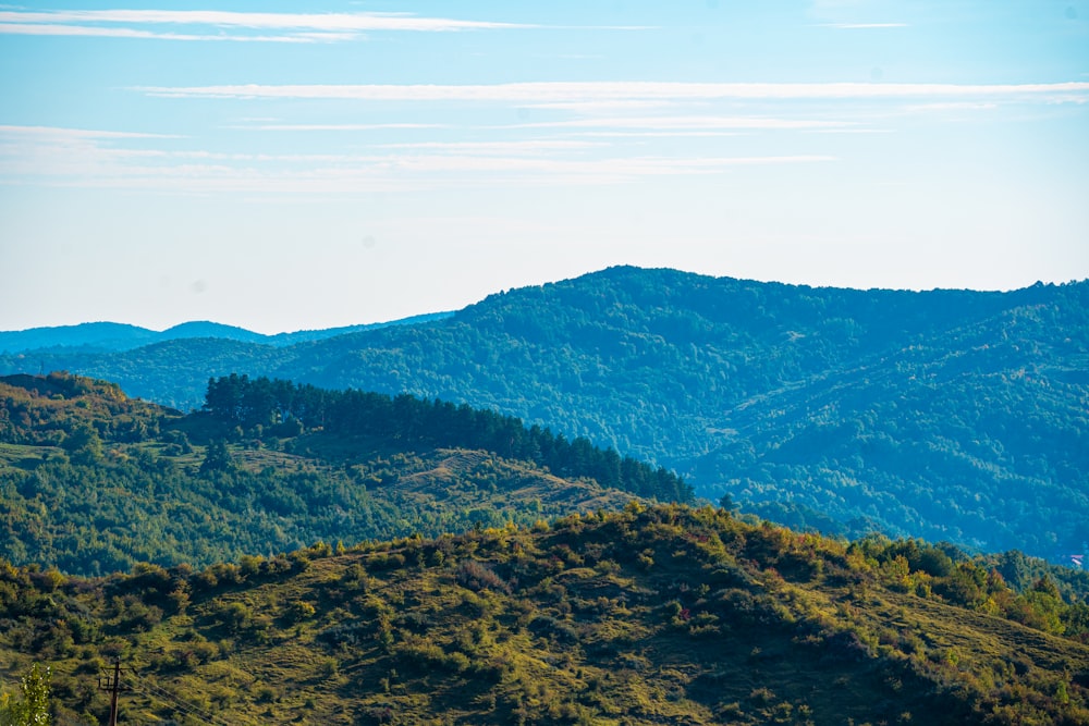 a landscape with trees and hills