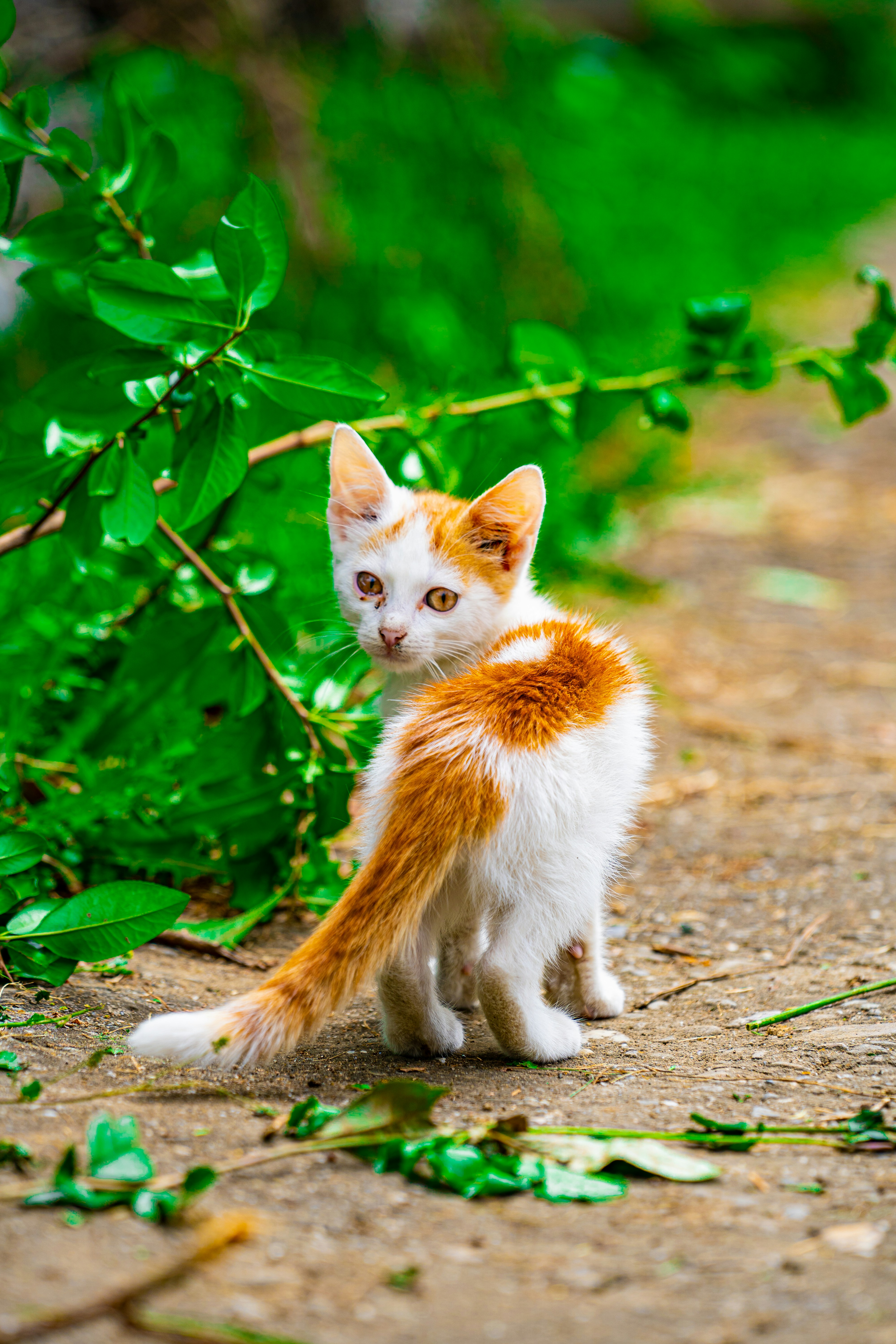 Photo by stoica_david_christian