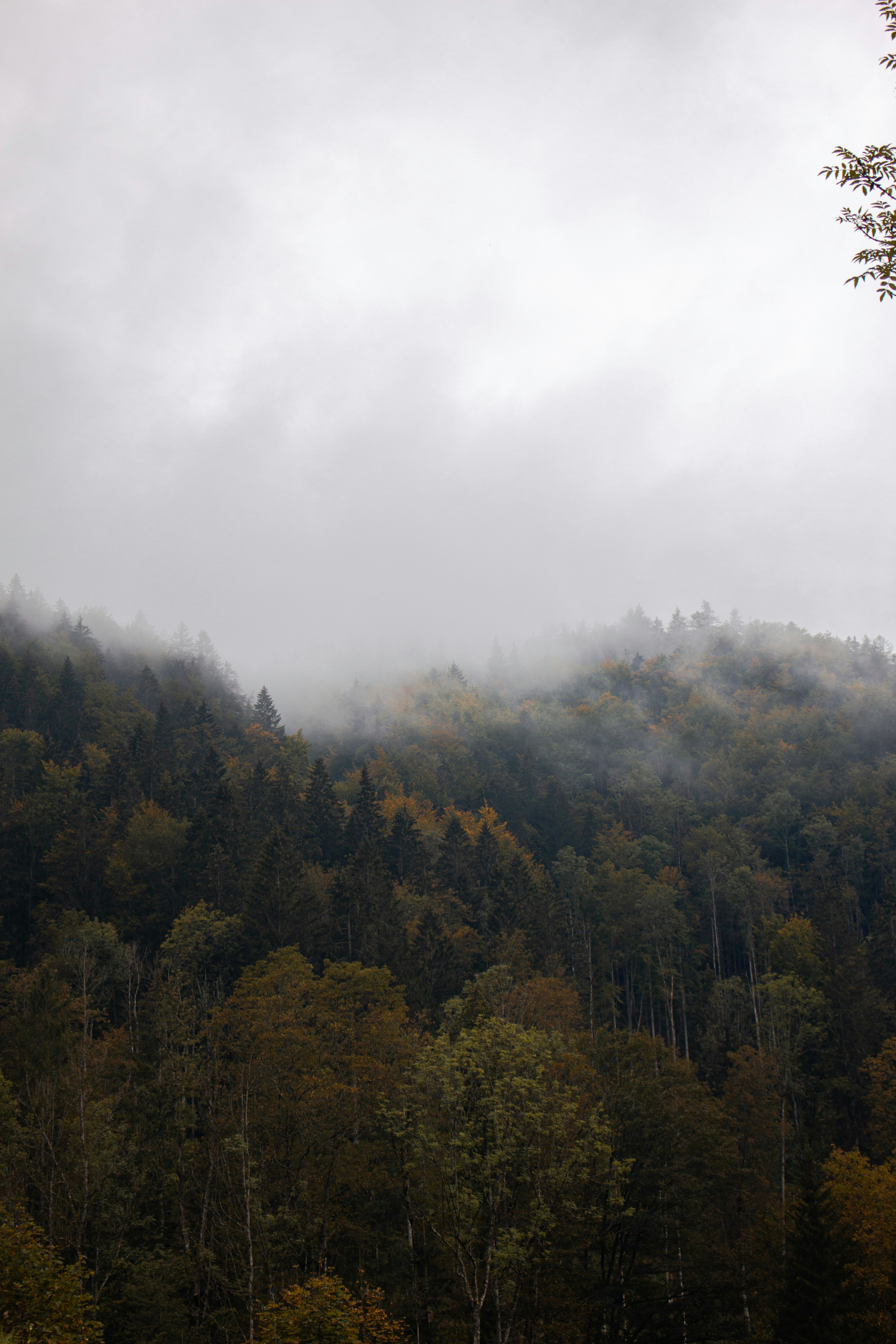 Photo by anna_c_wilhelm