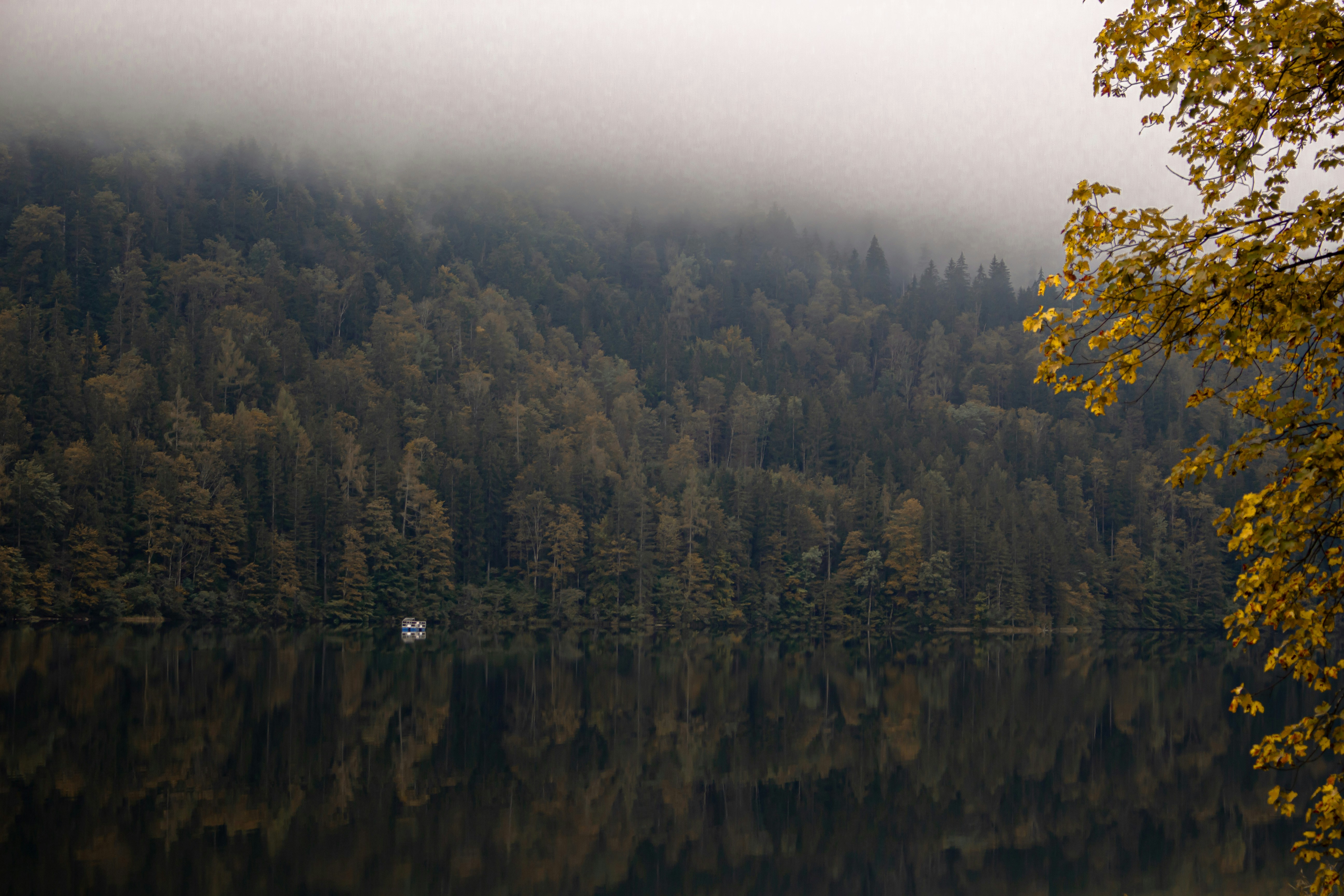 Photo by anna_c_wilhelm