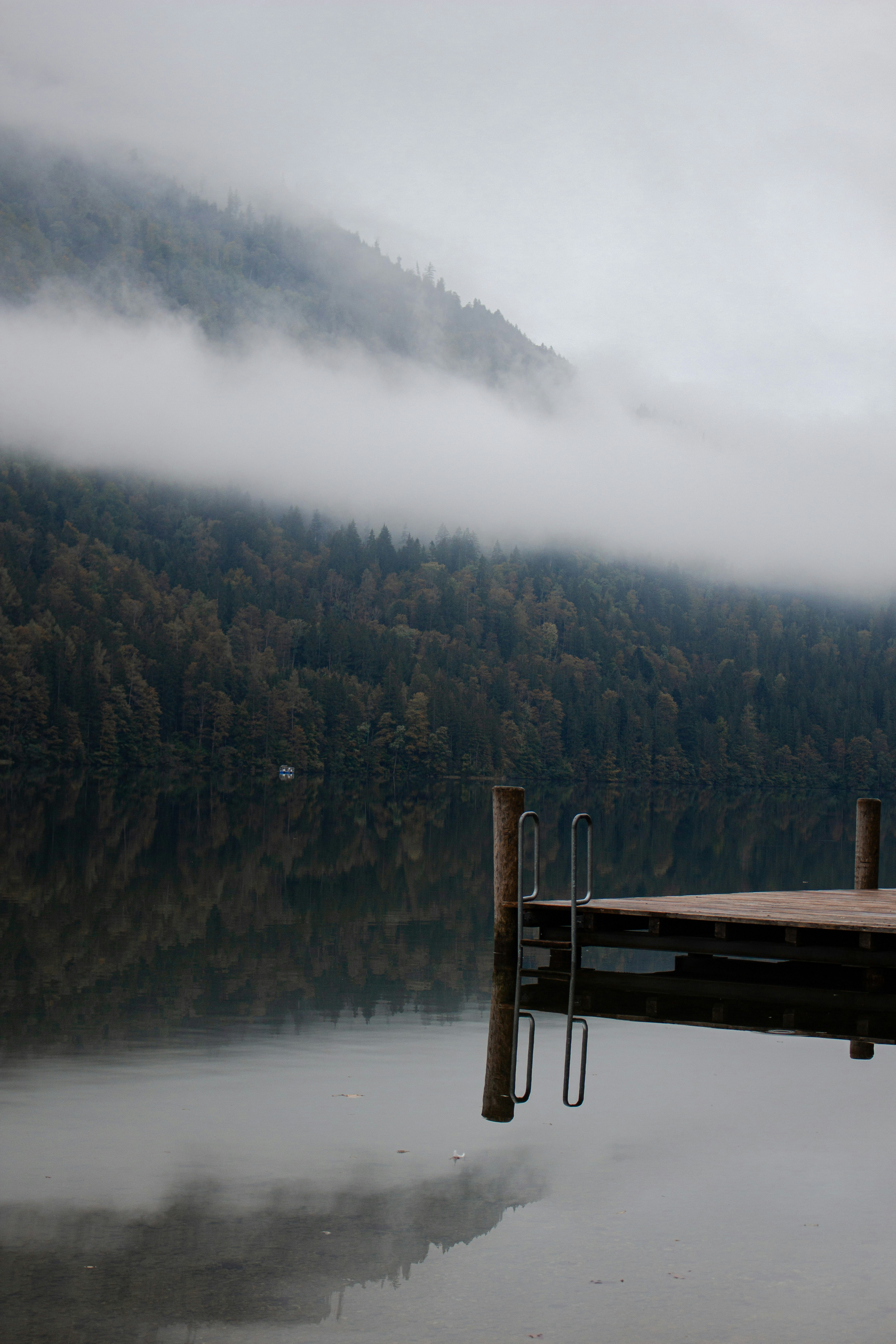 Photo by anna_c_wilhelm