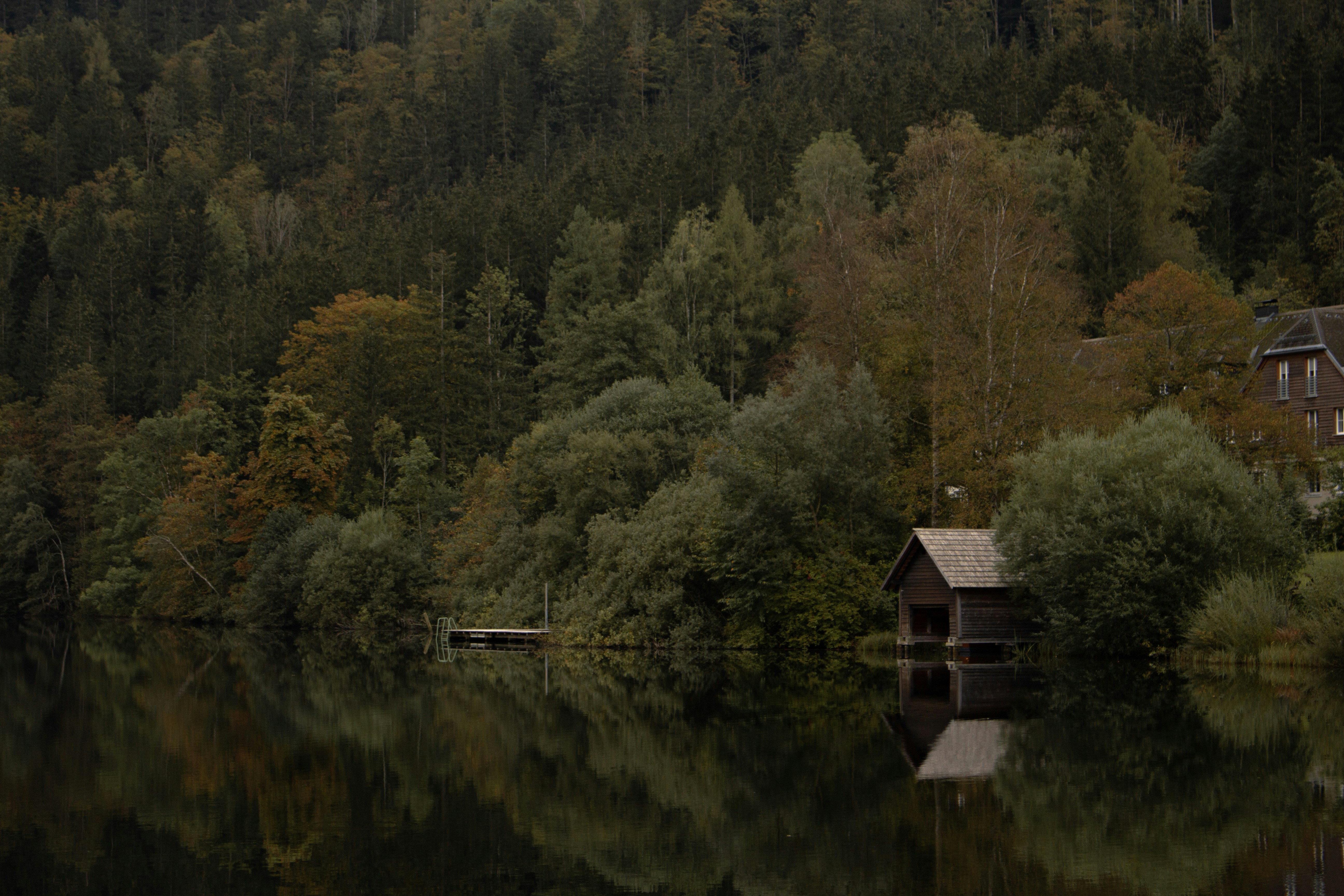 Photo by anna_c_wilhelm