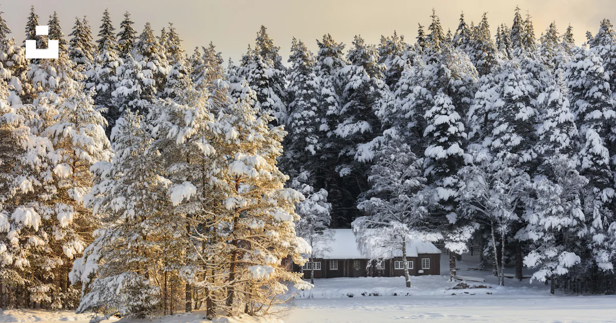 Une maison entourée d’arbres enneigés photo – Photo Aboyne Gratuite sur ...