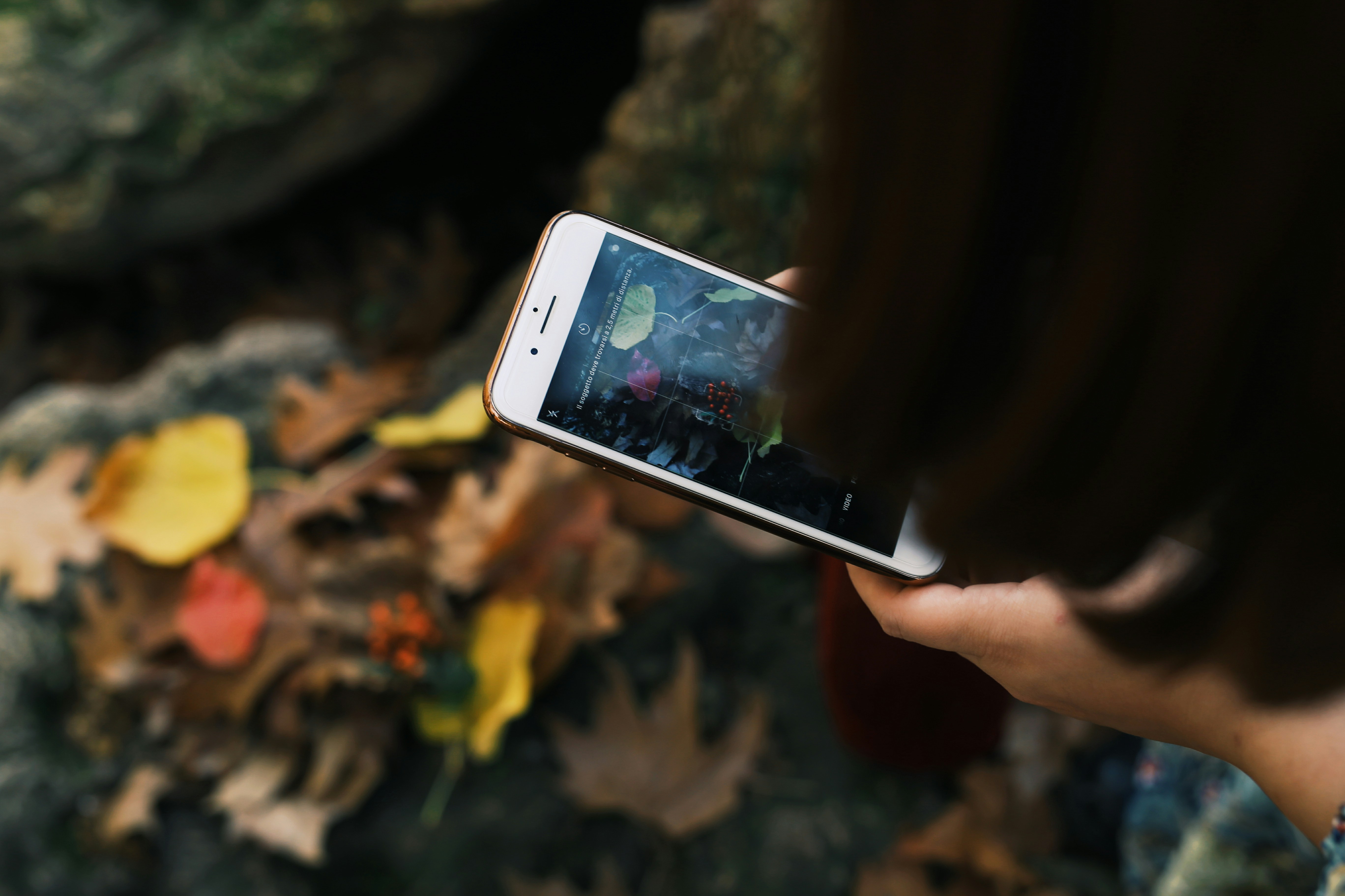 a person holding a cell phone