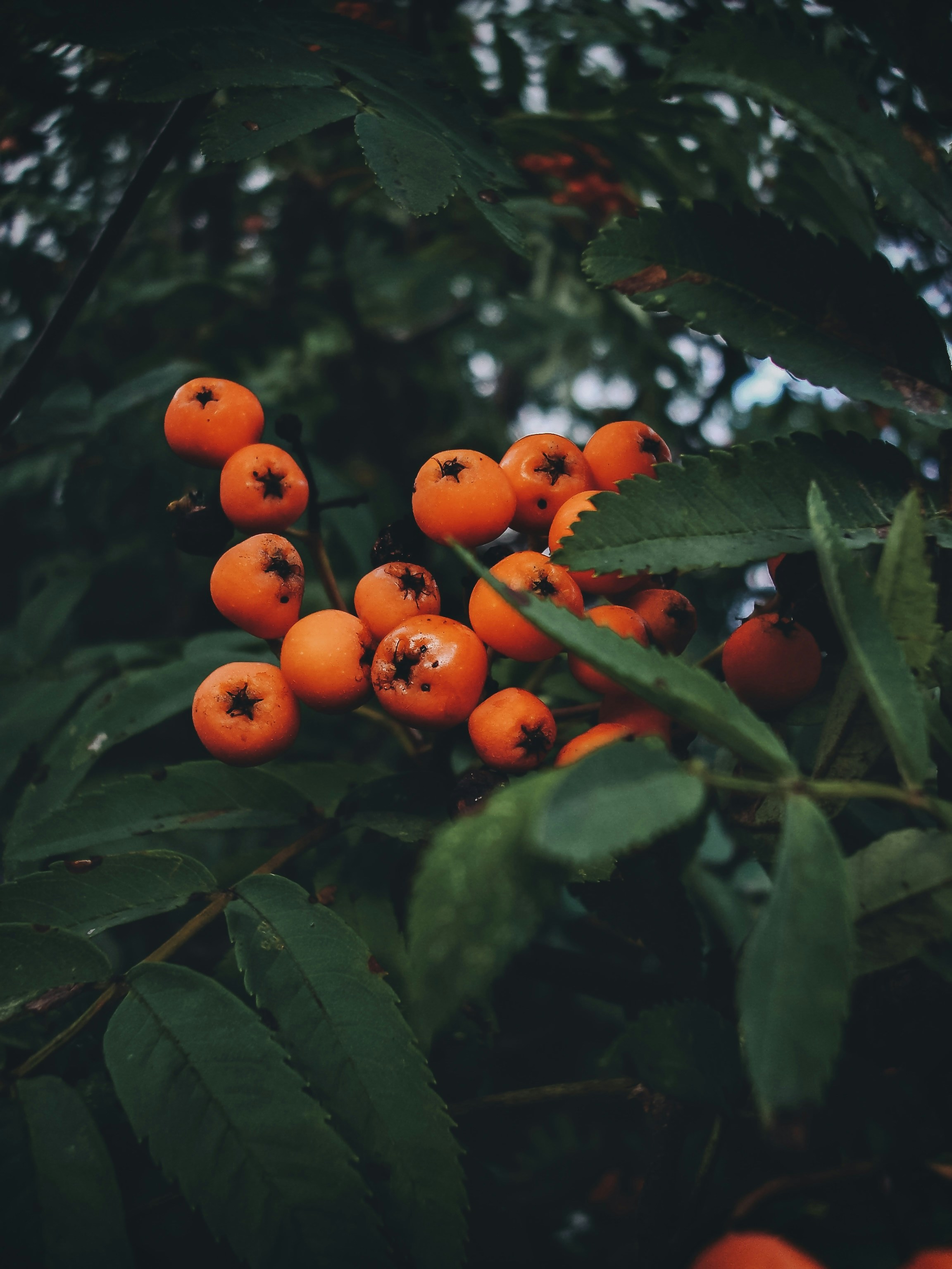 Photo by eugene_golovesov