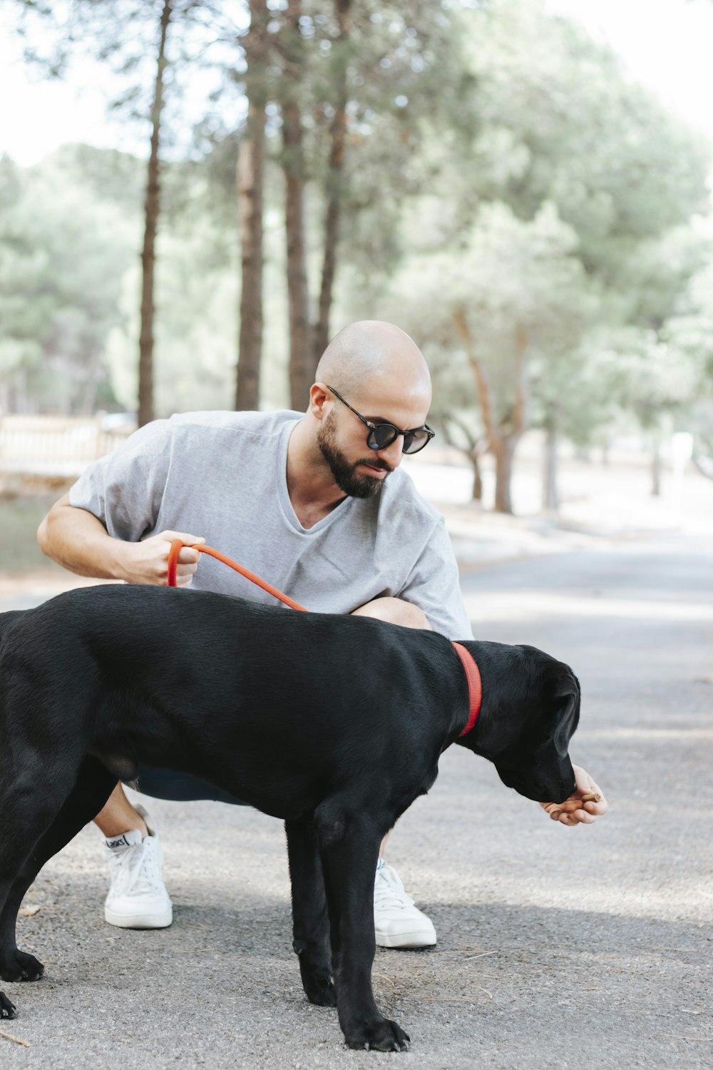 a man with a dog